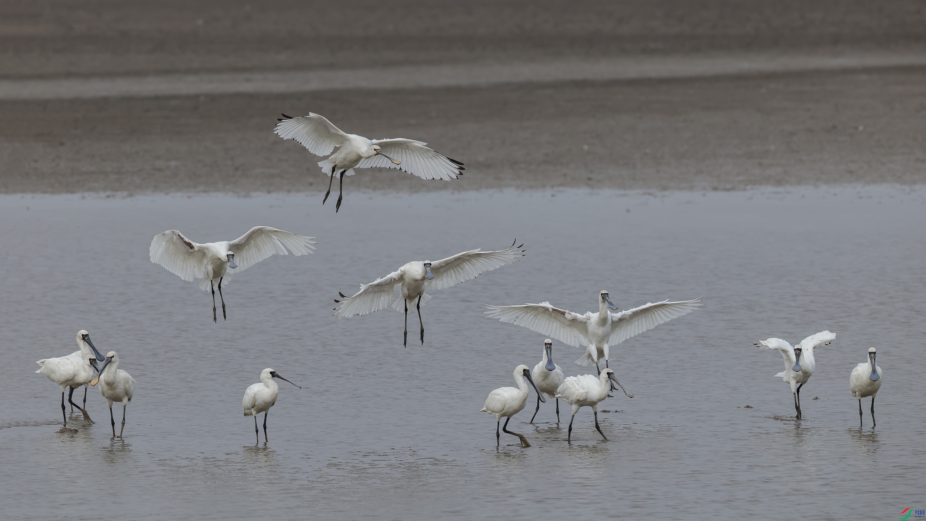 _E8A8356 ����w.jpg