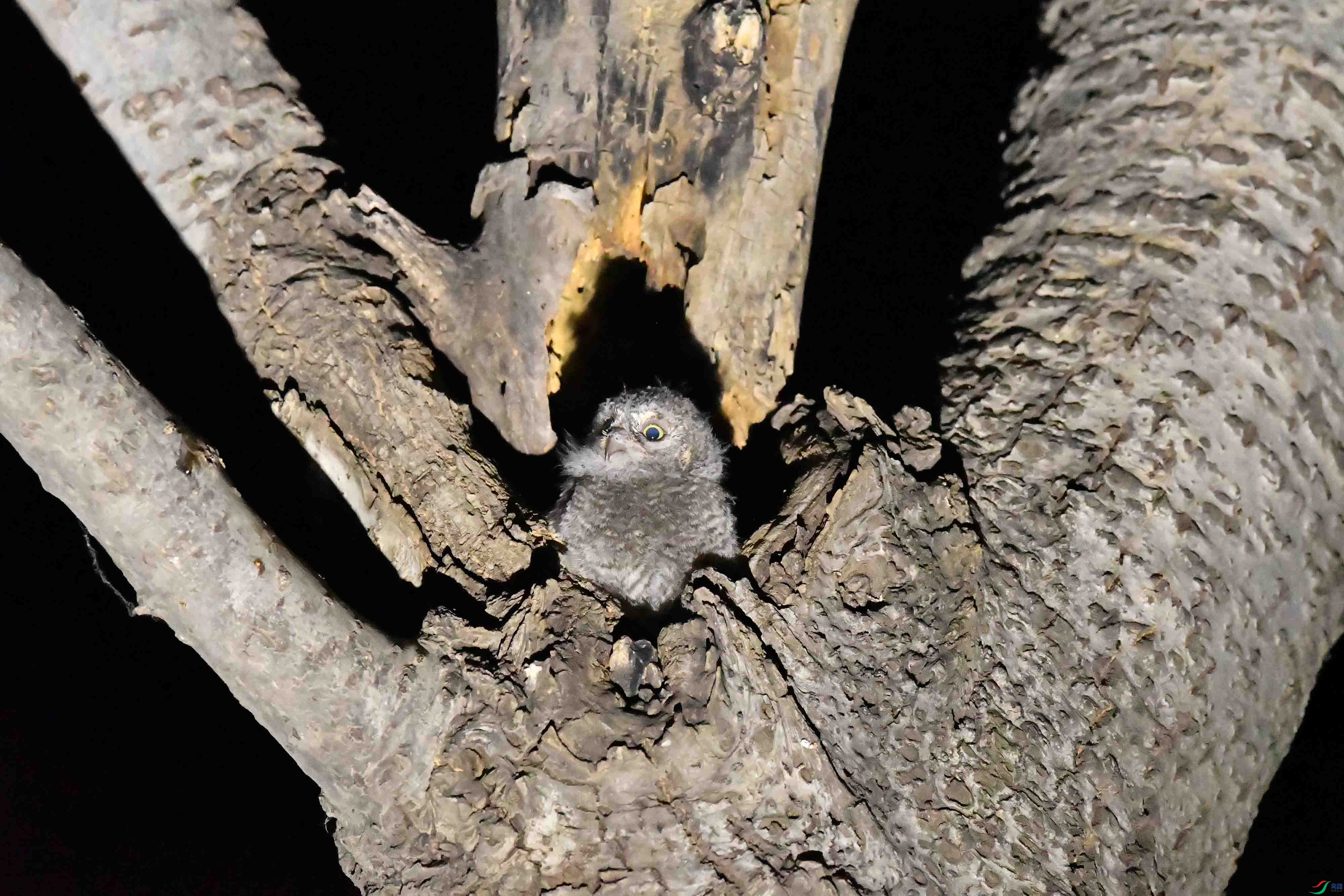 DSC_4516.JPG