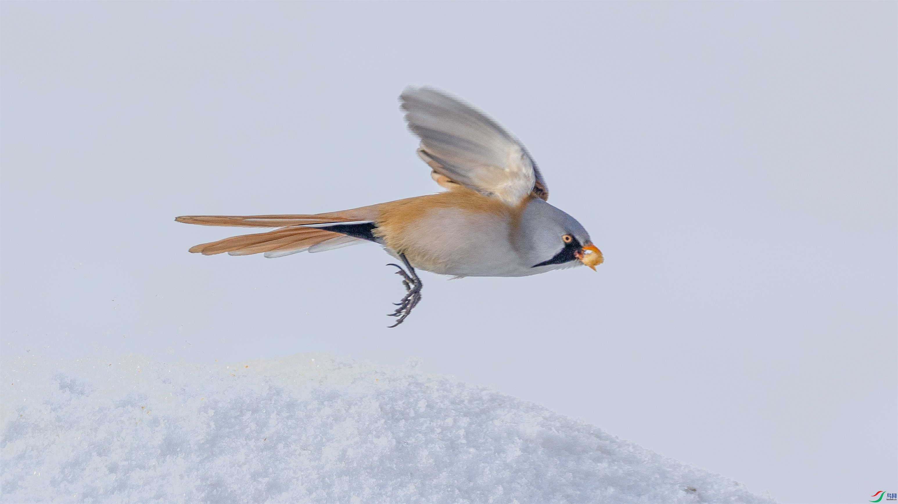 1K3A5599 ����1.jpg