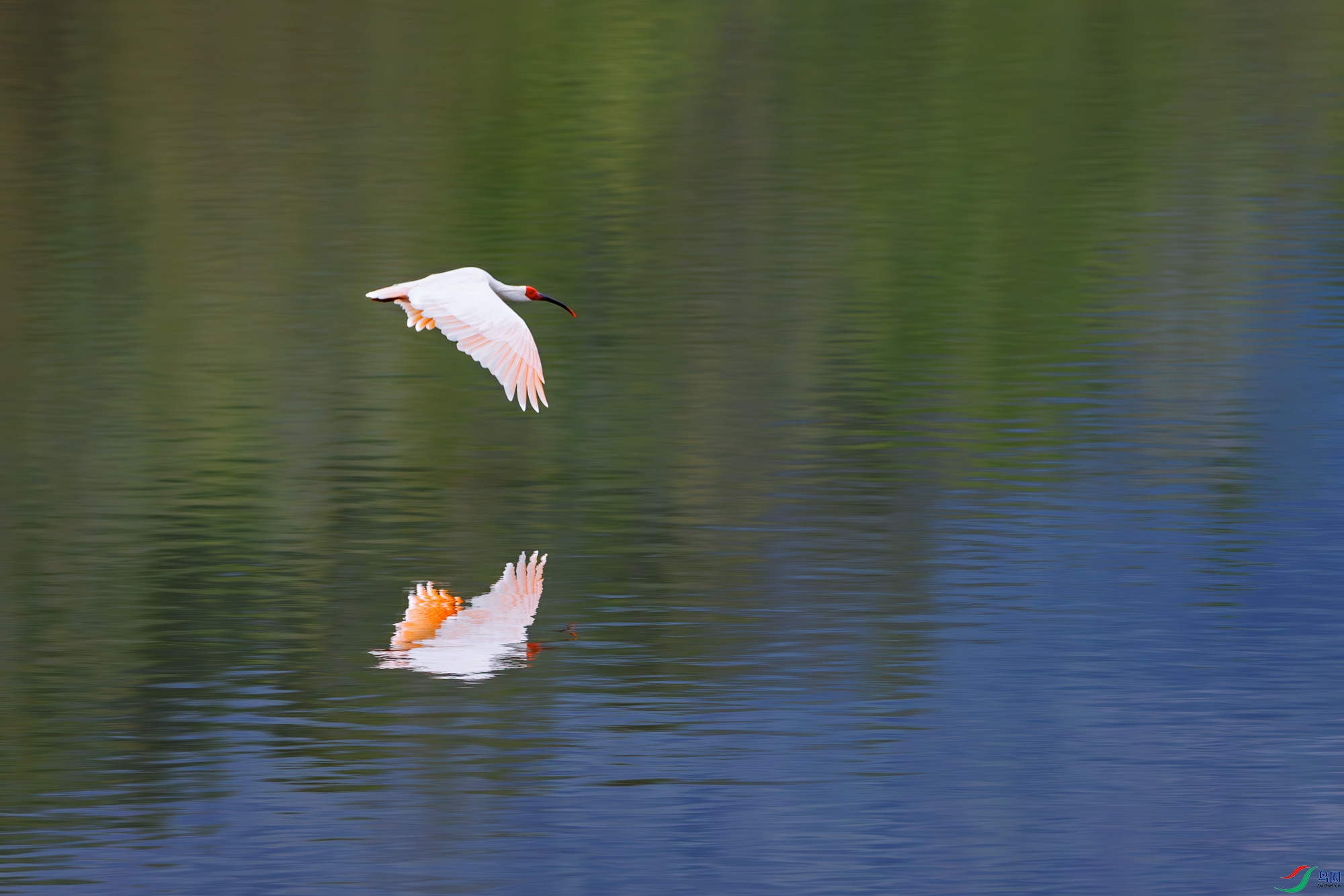 3Z6A0833-����ǿ-NR ����_1.jpg