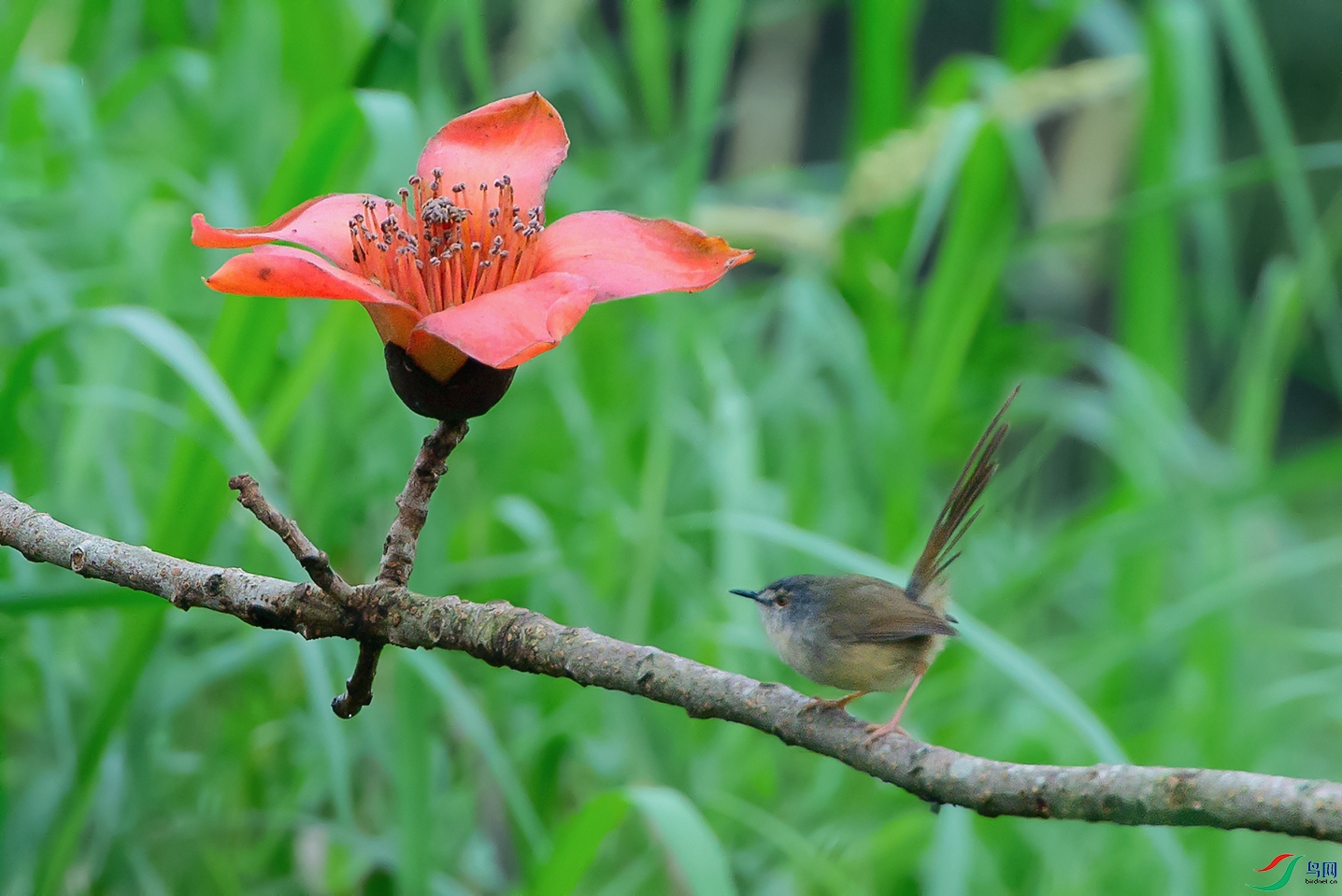 4DSC_1169_DxOa.jpg