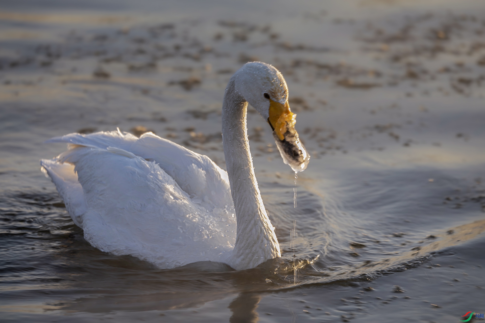 ����֮����