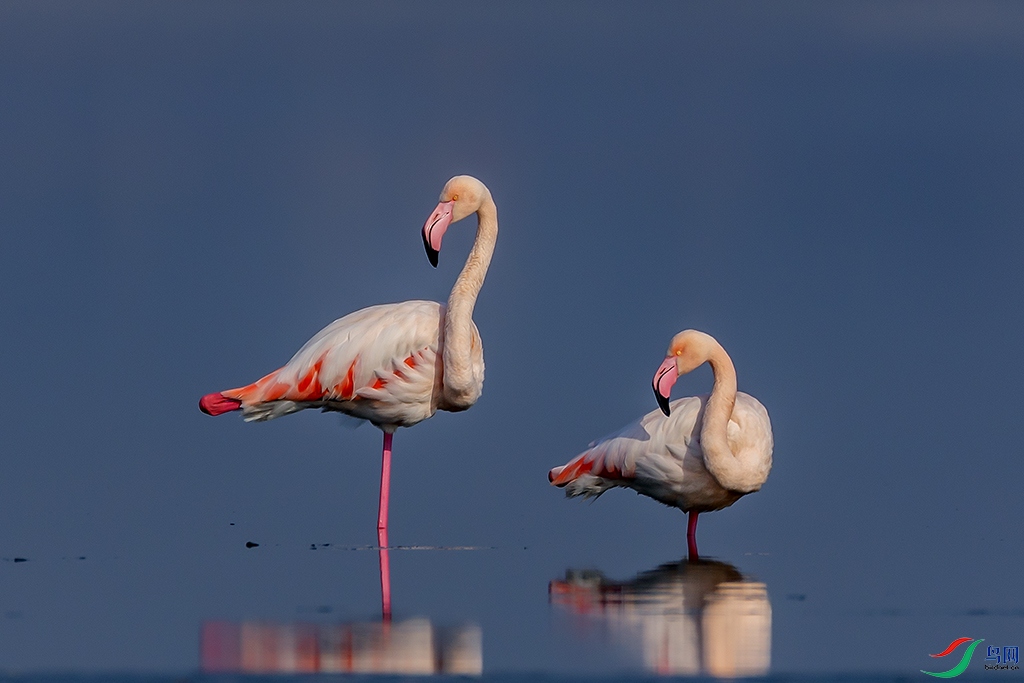 0F7A6982 ����.jpg