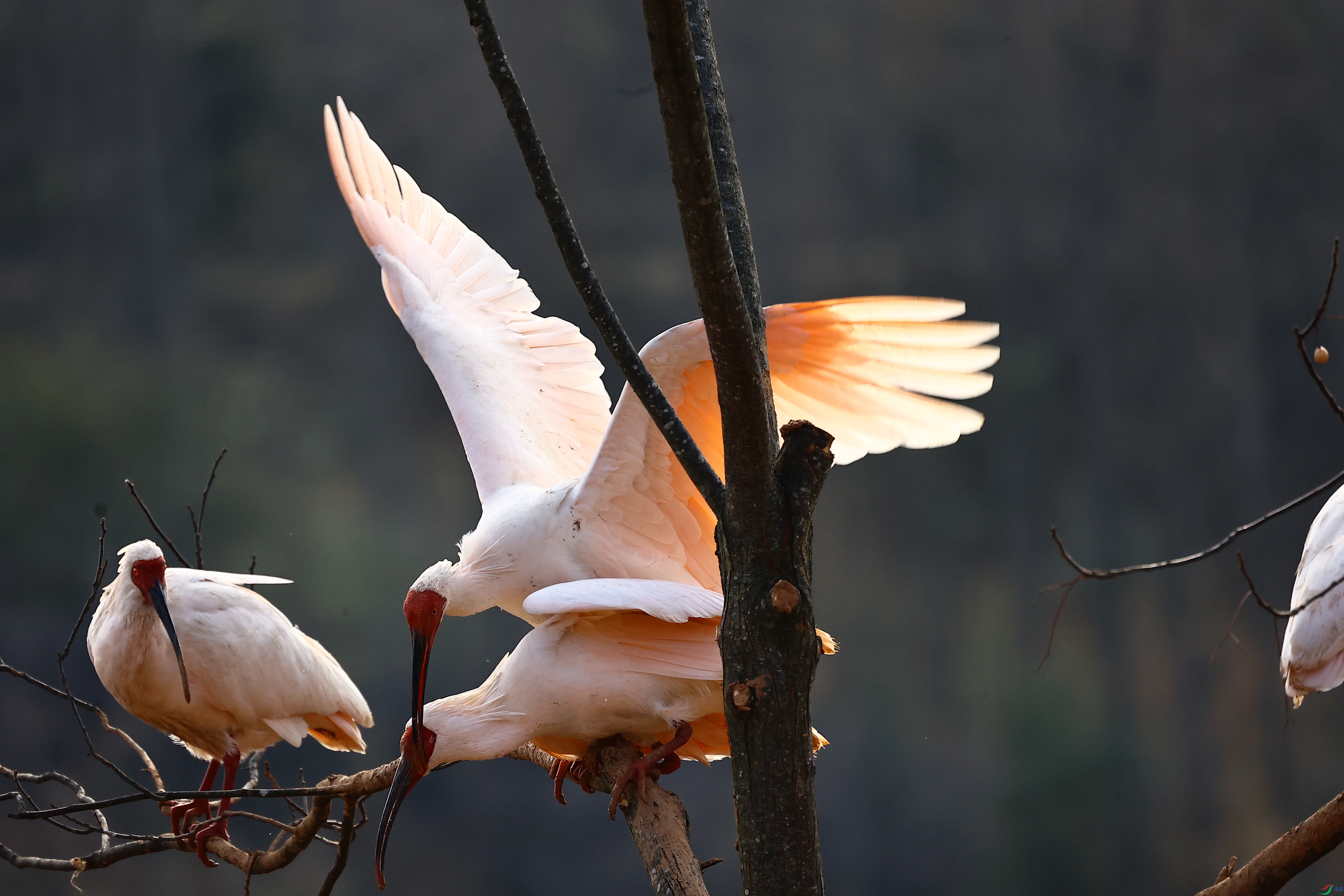 ���q�ȱ�01