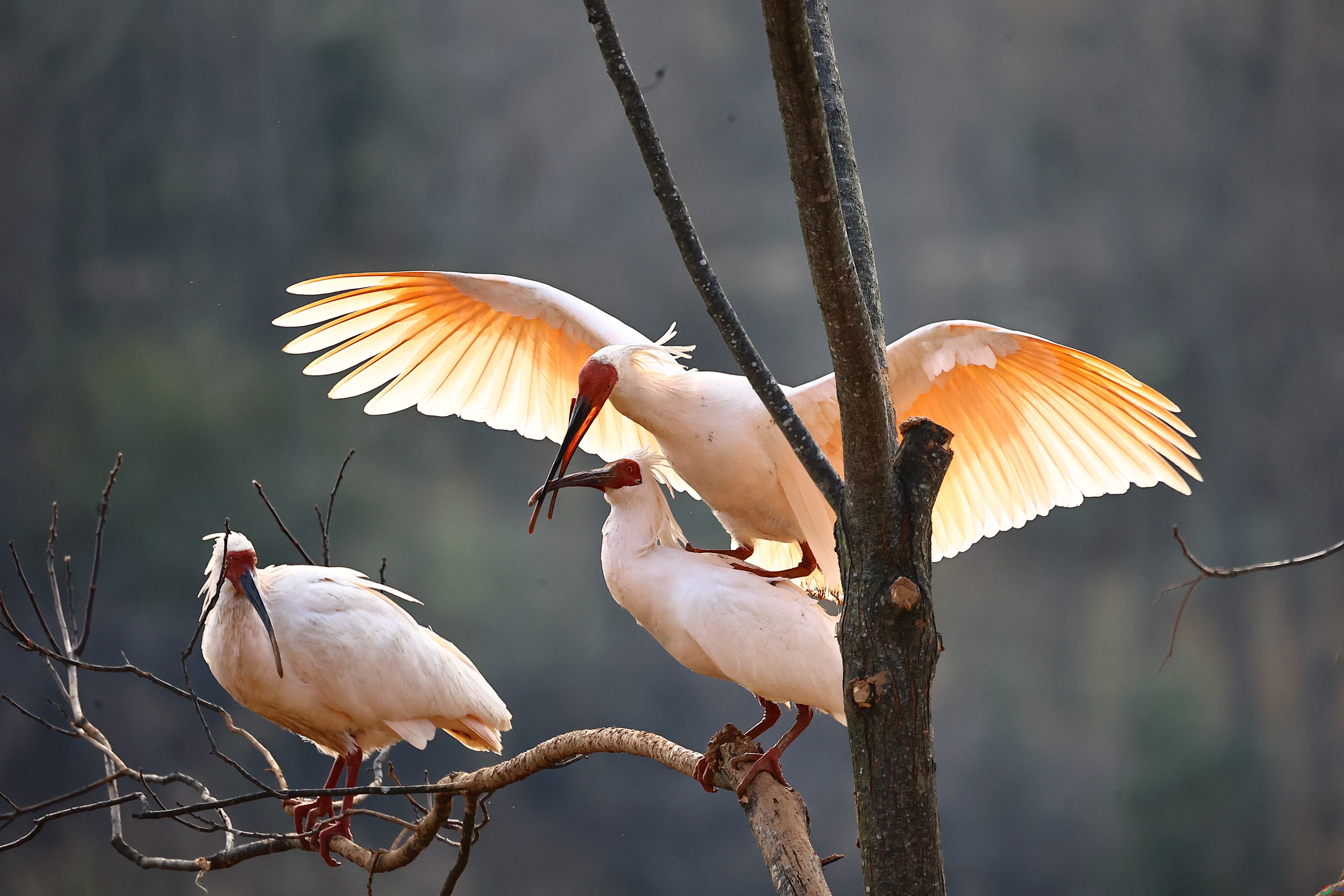 ���q�ȱ�06