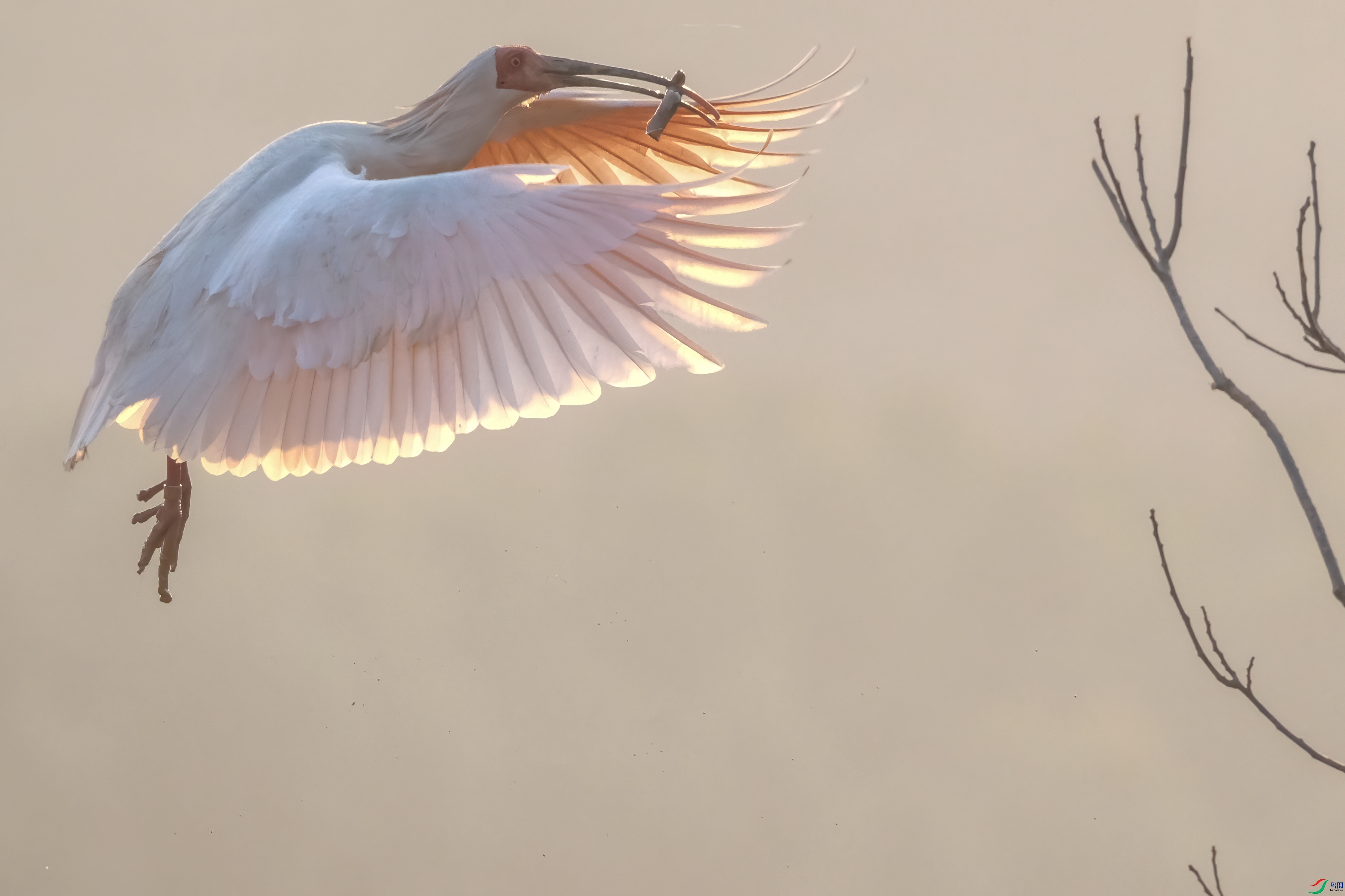 ��֦�����q02