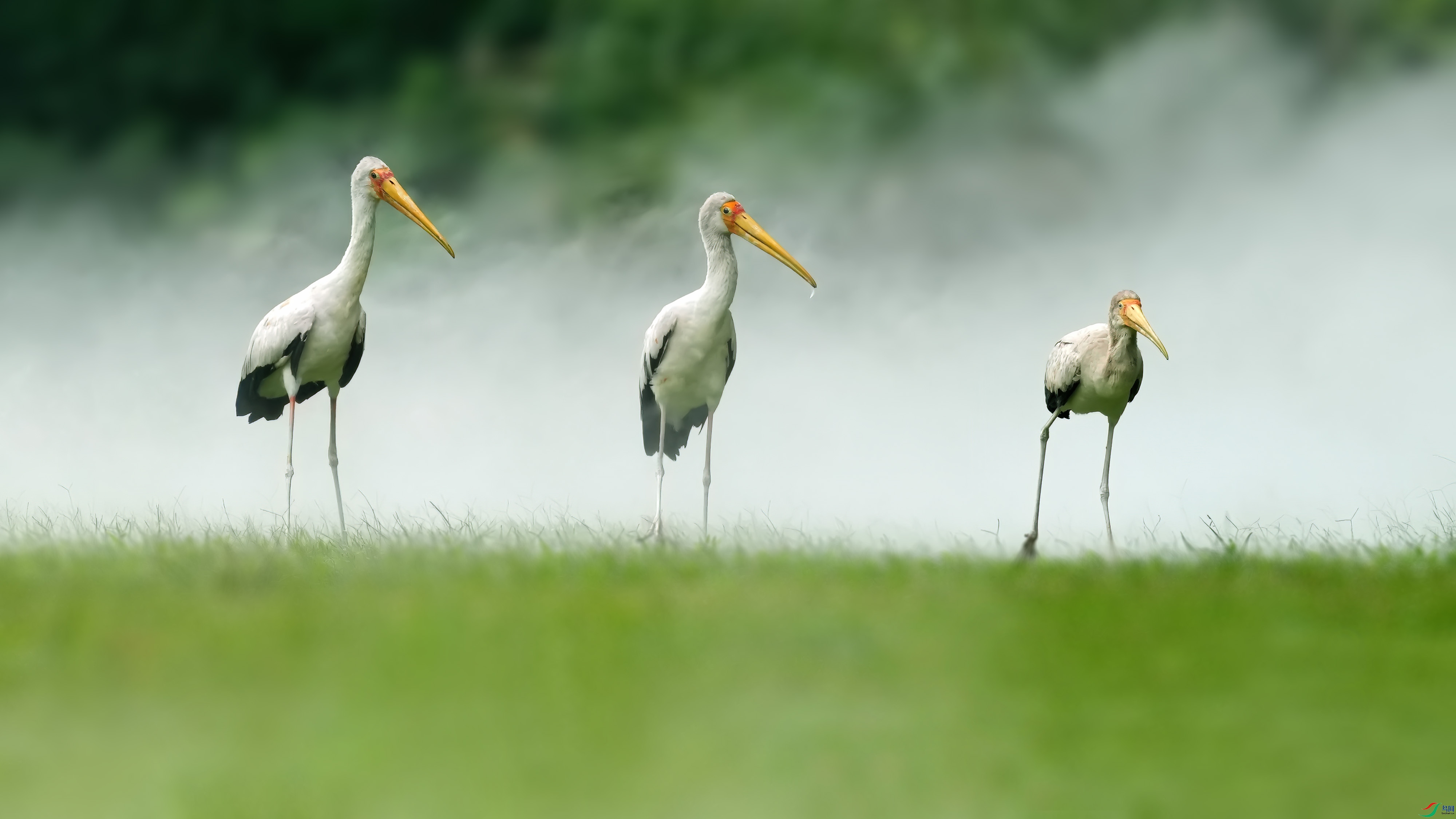 DSC07180 ����.jpg