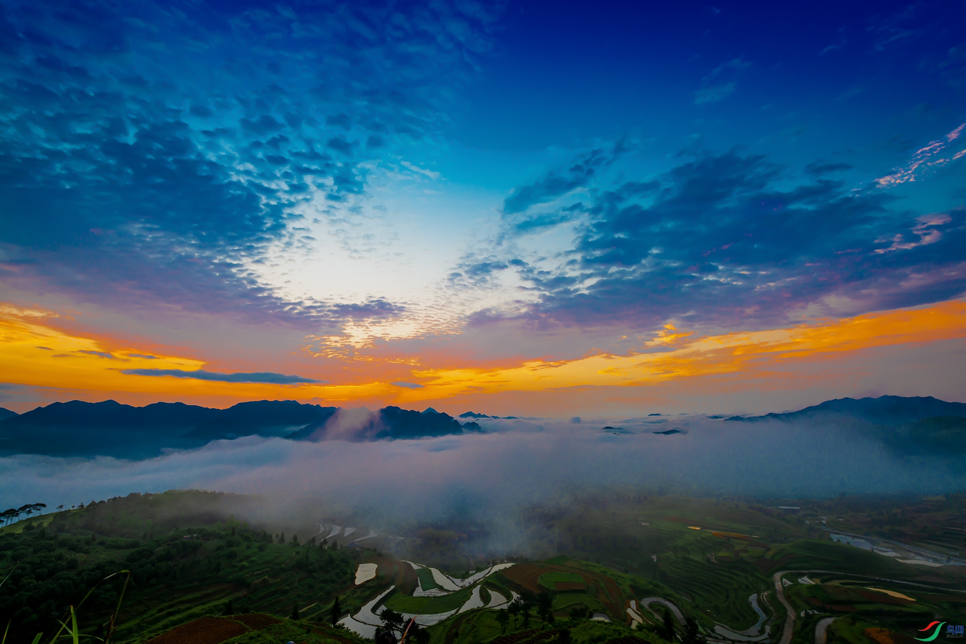 DSC_6657a.jpg