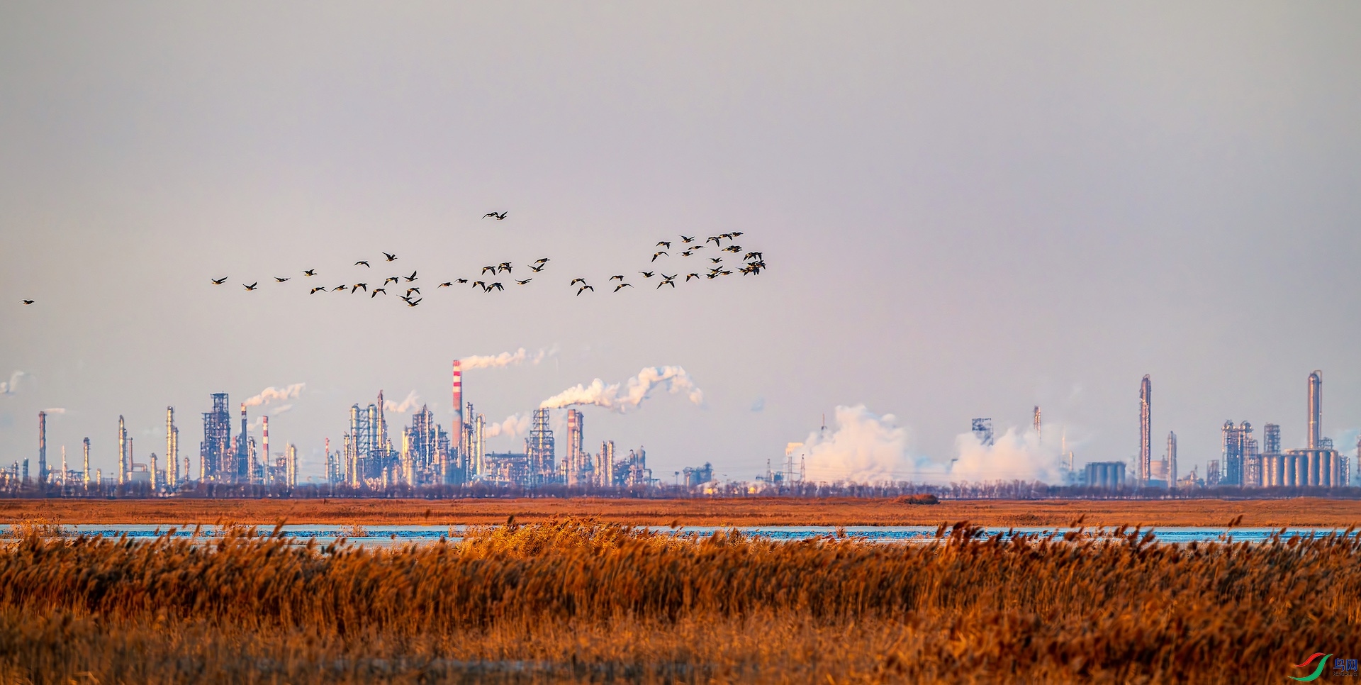 1_XXL6848-����ǿ-NR-1 2 2.jpeg