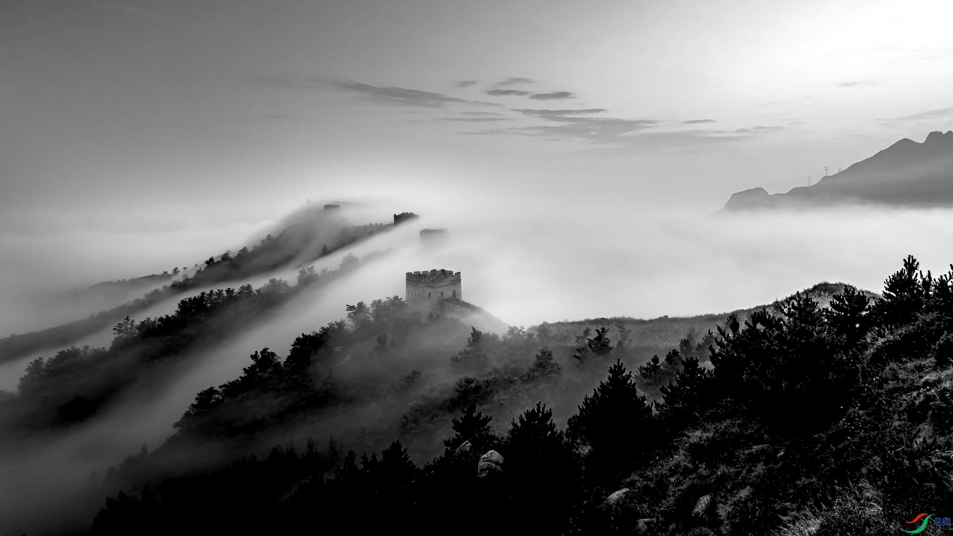 1--1XXL_4148 ����.jpeg