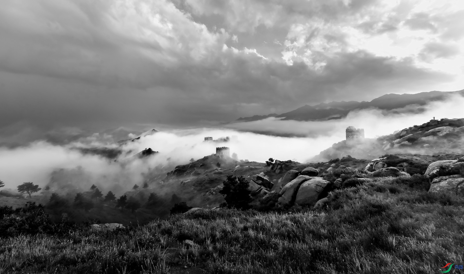 1--1XXX_0493 ����.jpeg