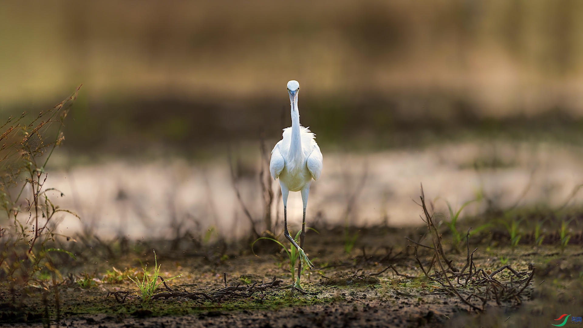 1--2XXL_7047-����ǿ-NR ����.jpeg