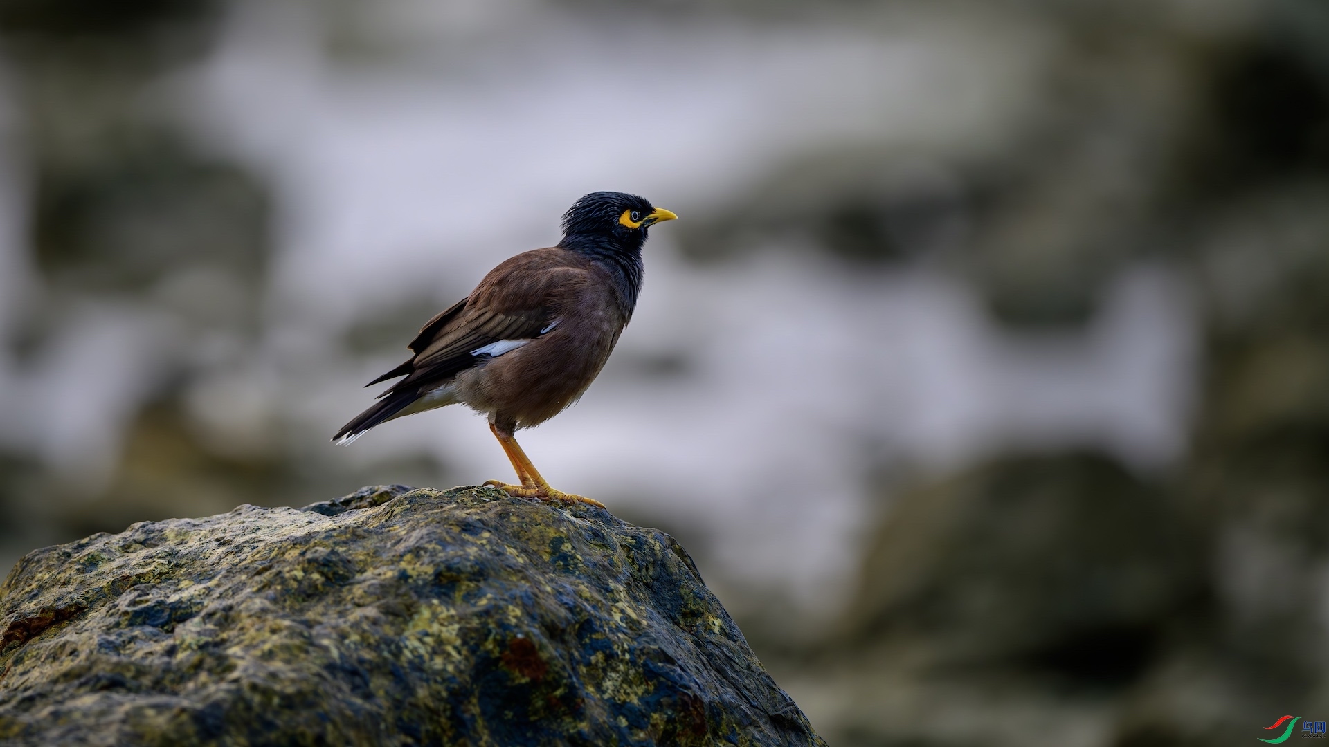 1--4_XXL5863-����ǿ-NR ����.jpeg