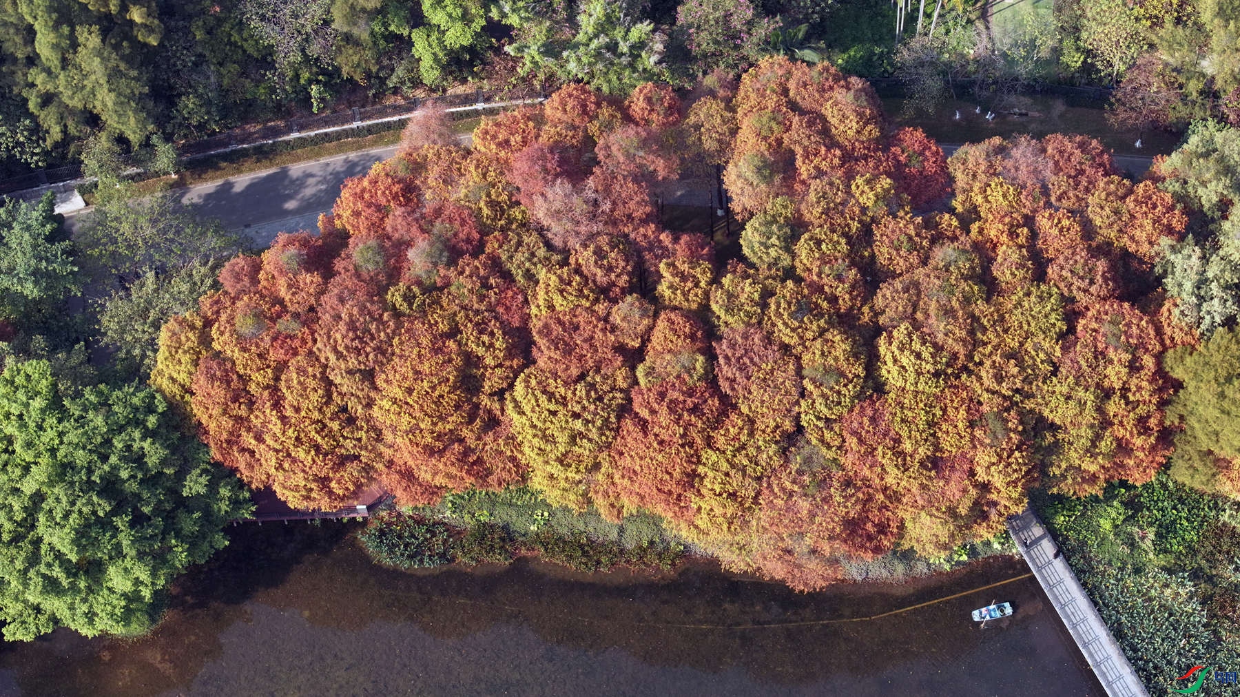 DJI_20250109150723_0038_D.JPG