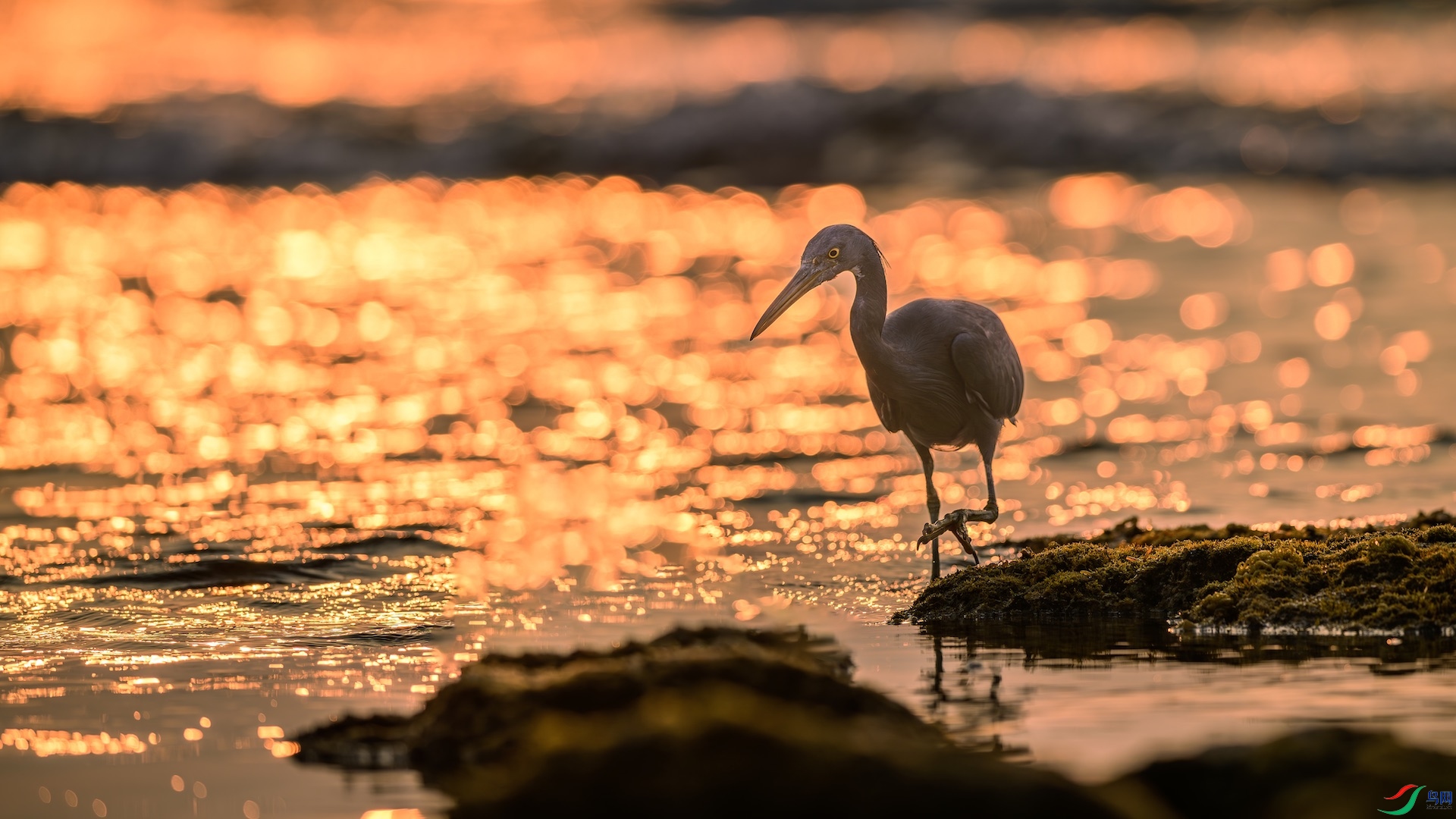 1_XXL7562-����ǿ-NR ����.jpeg