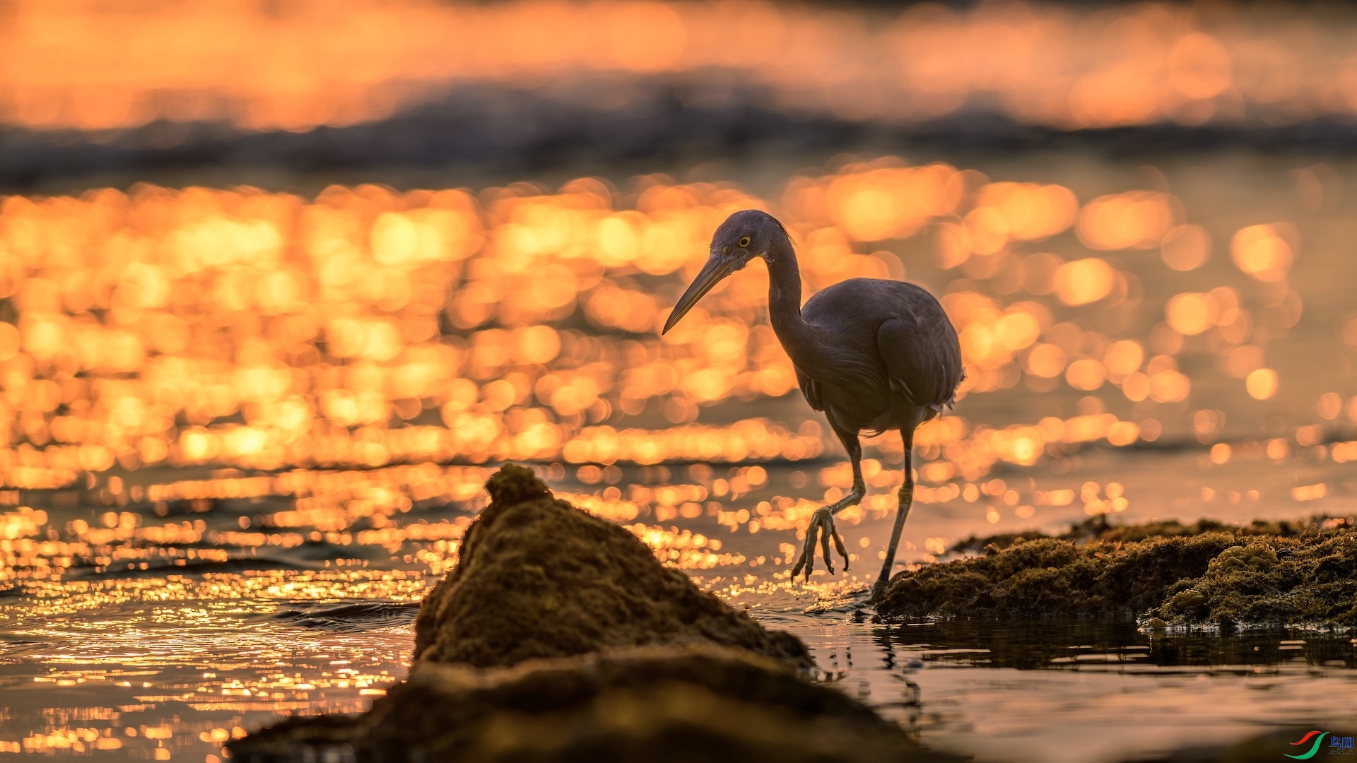 1_XXL7565-����ǿ-NR ����.jpeg