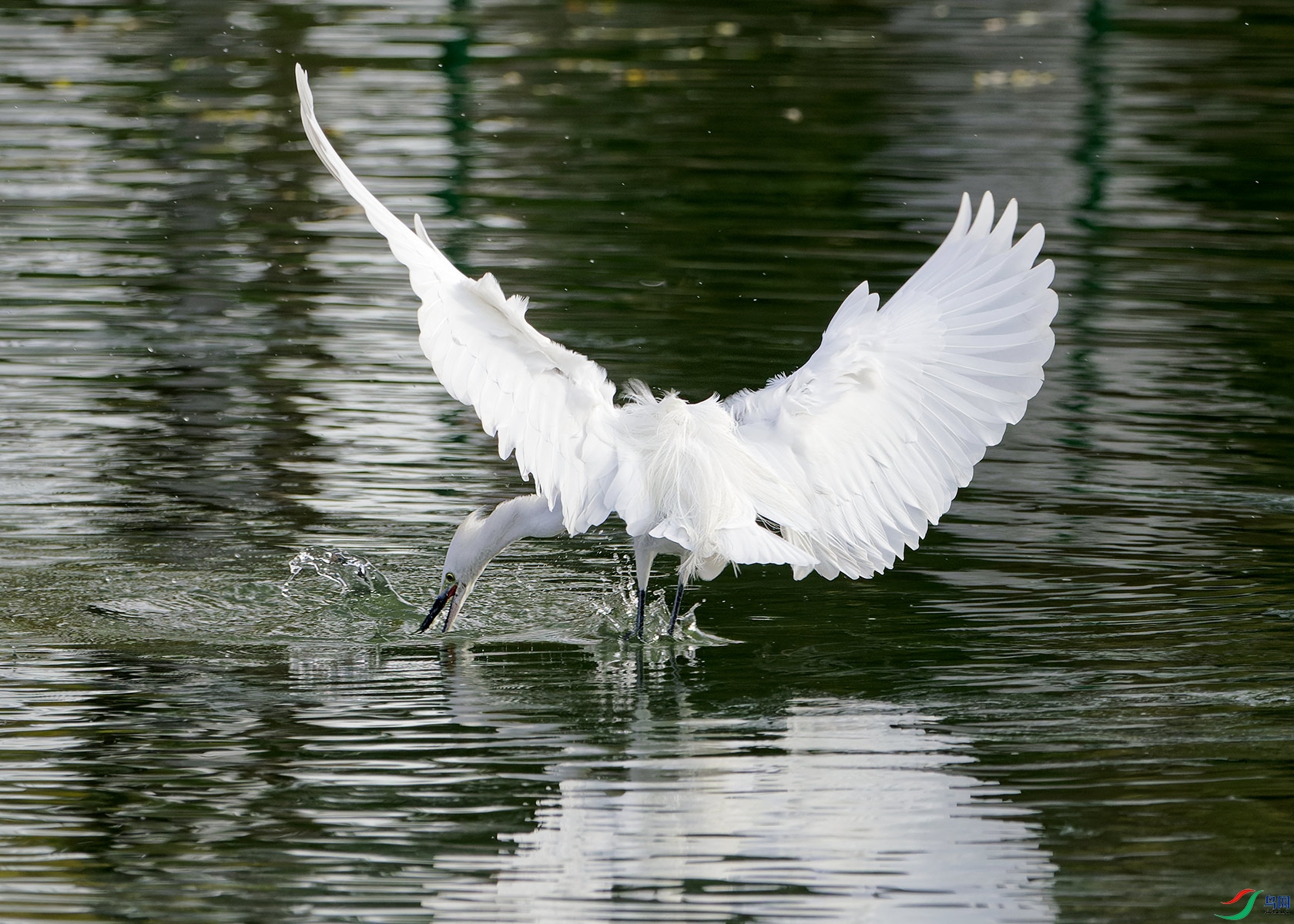 DSC_6582.jpg