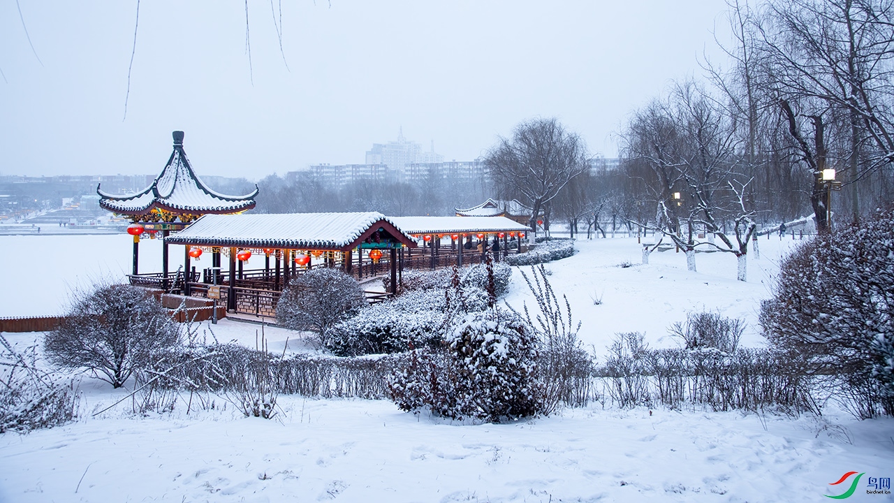 _K2A9855~1 - ����.jpg