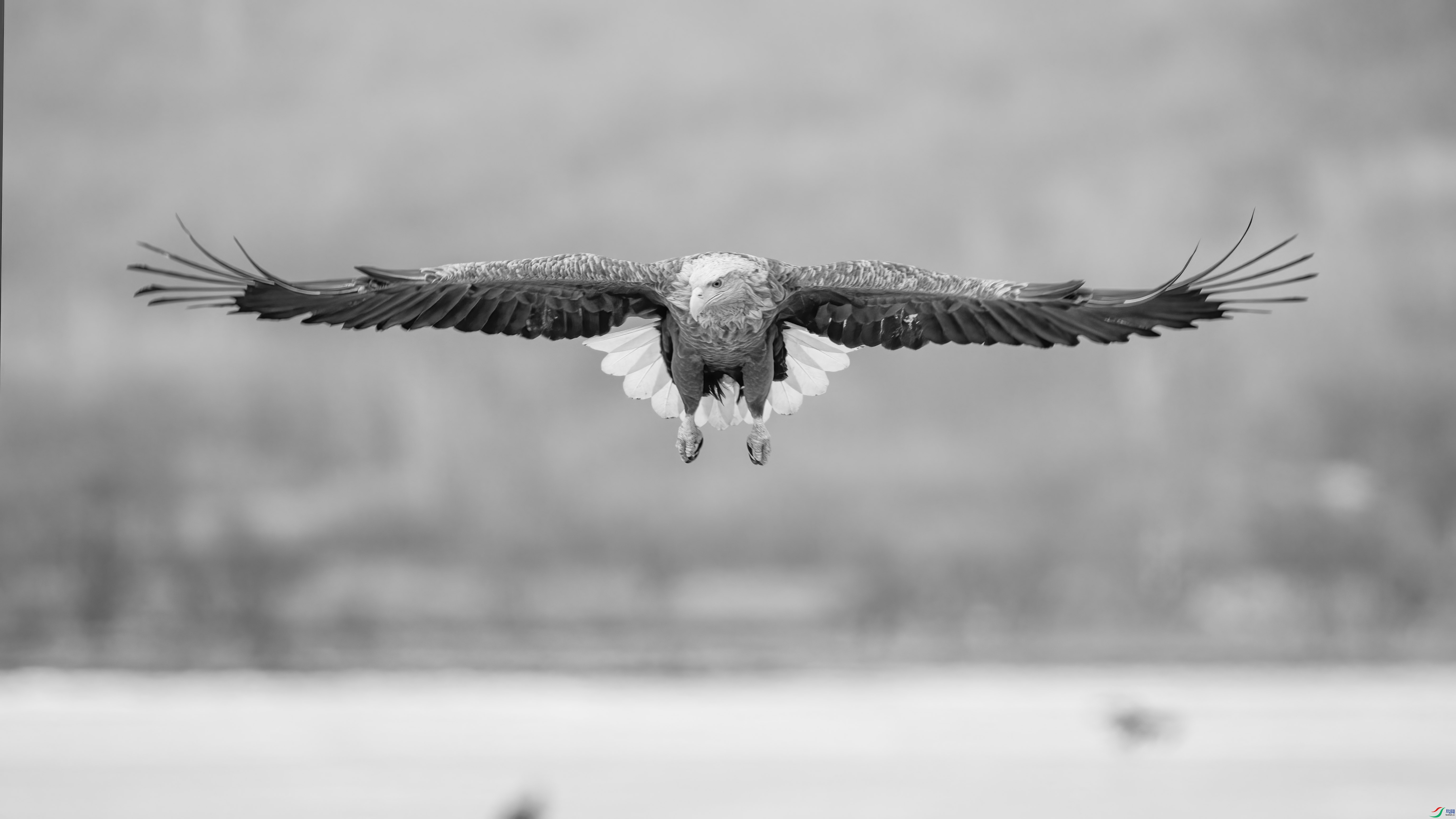 DSC07576 ����.jpg