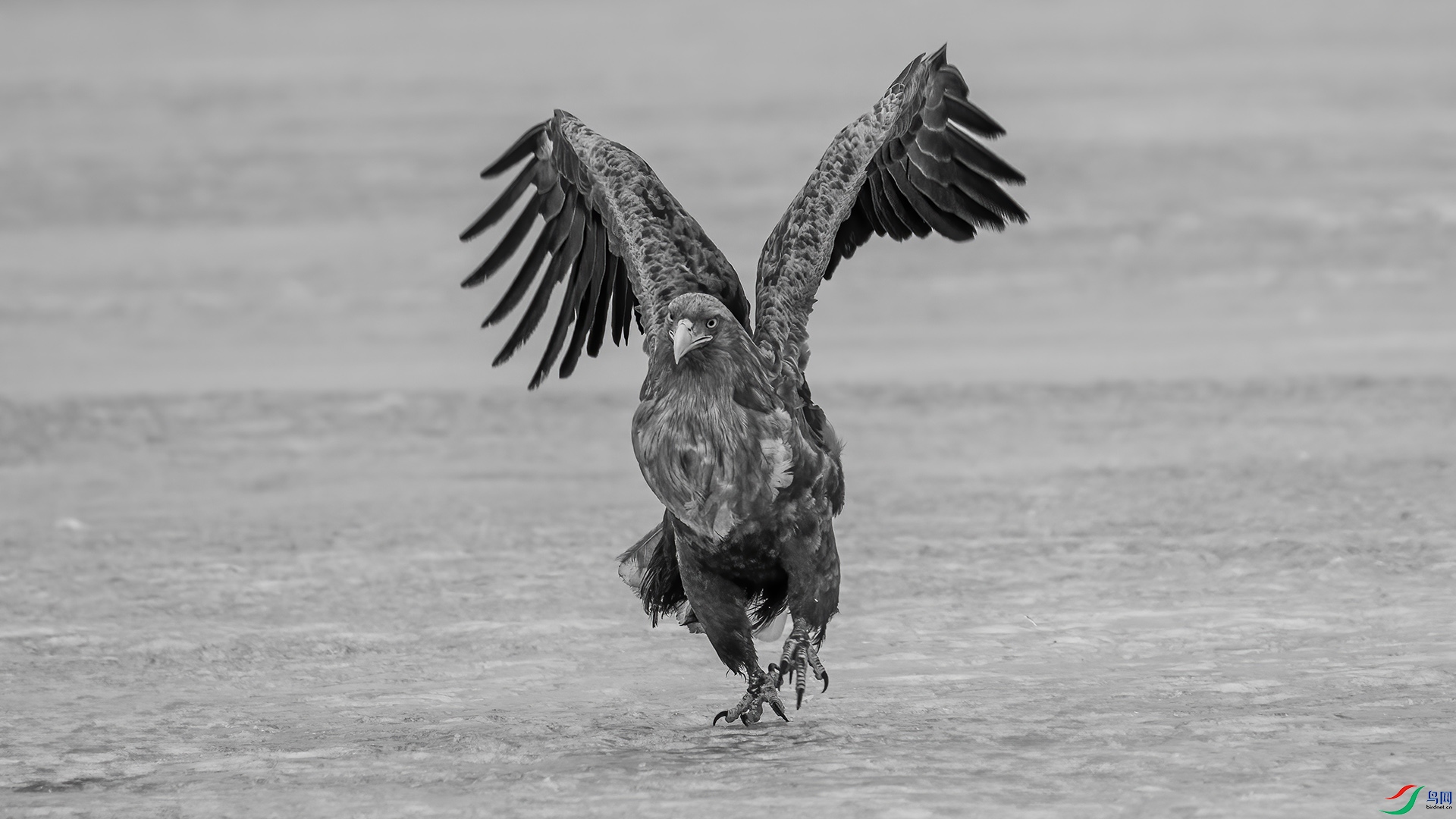 DSC07623 ����.jpg