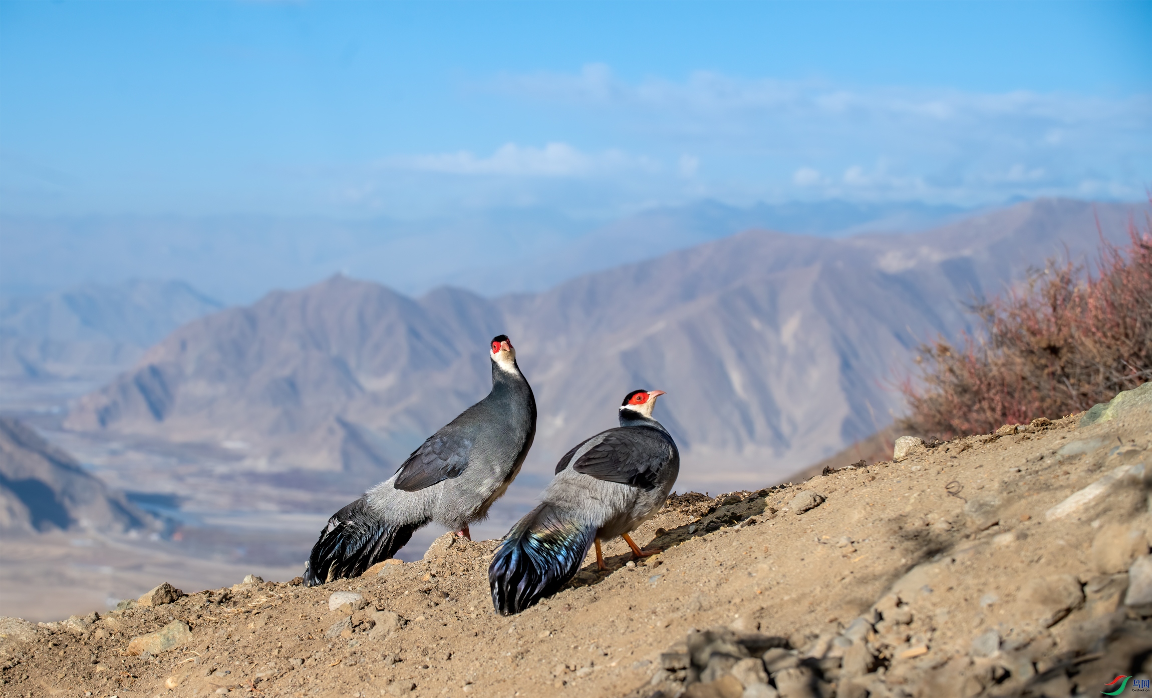 DSC_4740-11.jpg