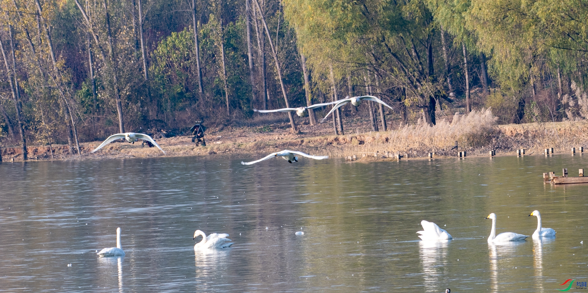 DSC_8629.jpg
