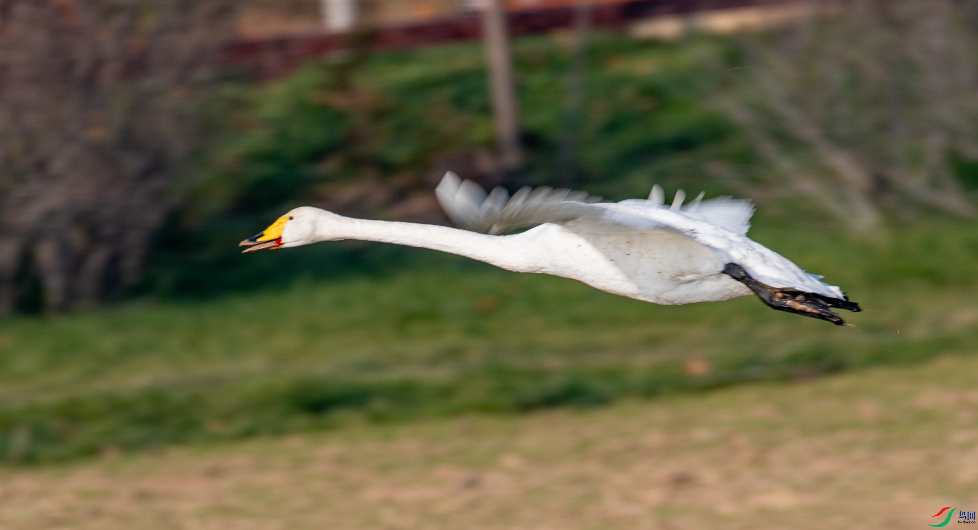 DSC_8897.jpg