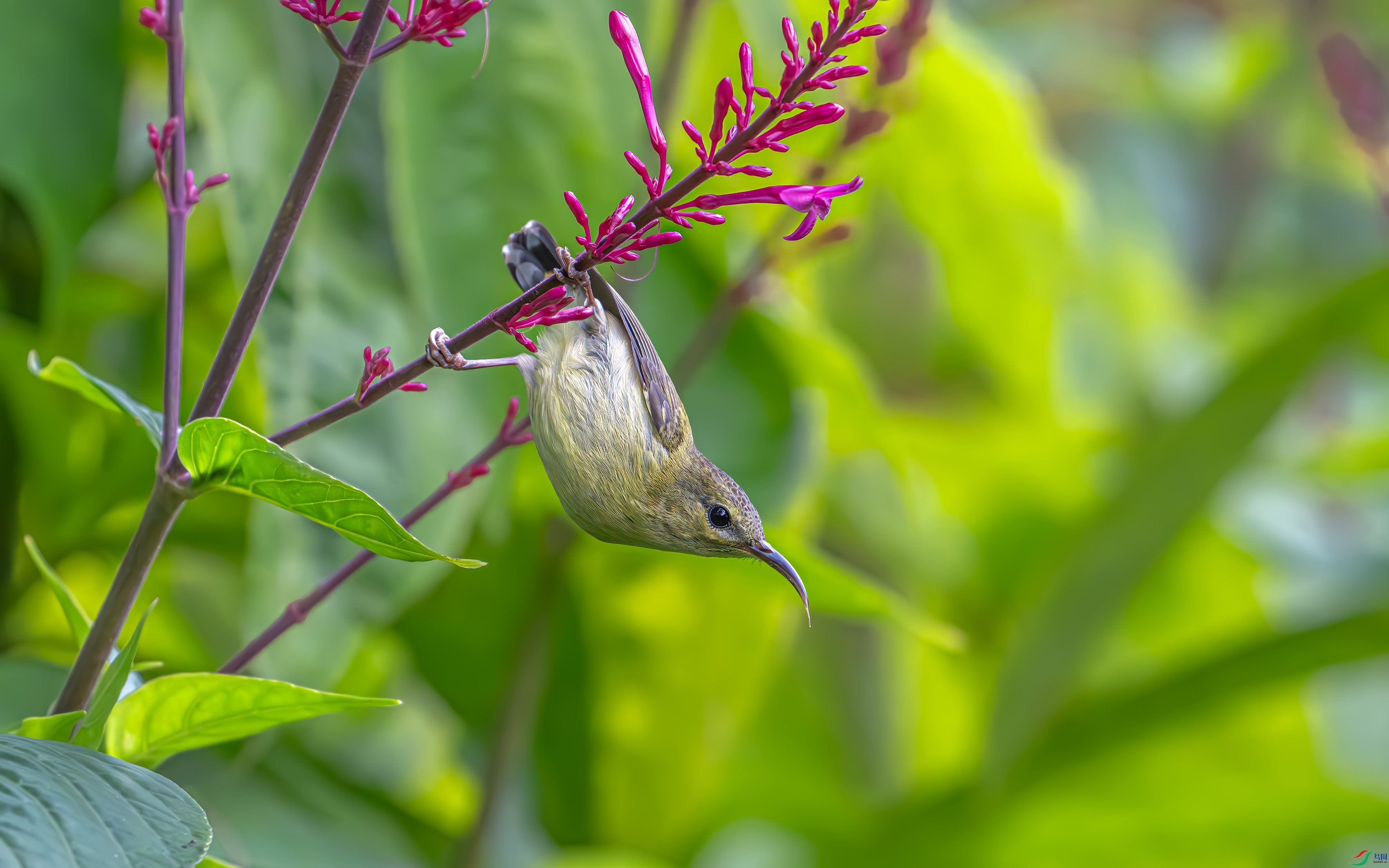 DSC_9892.jpg