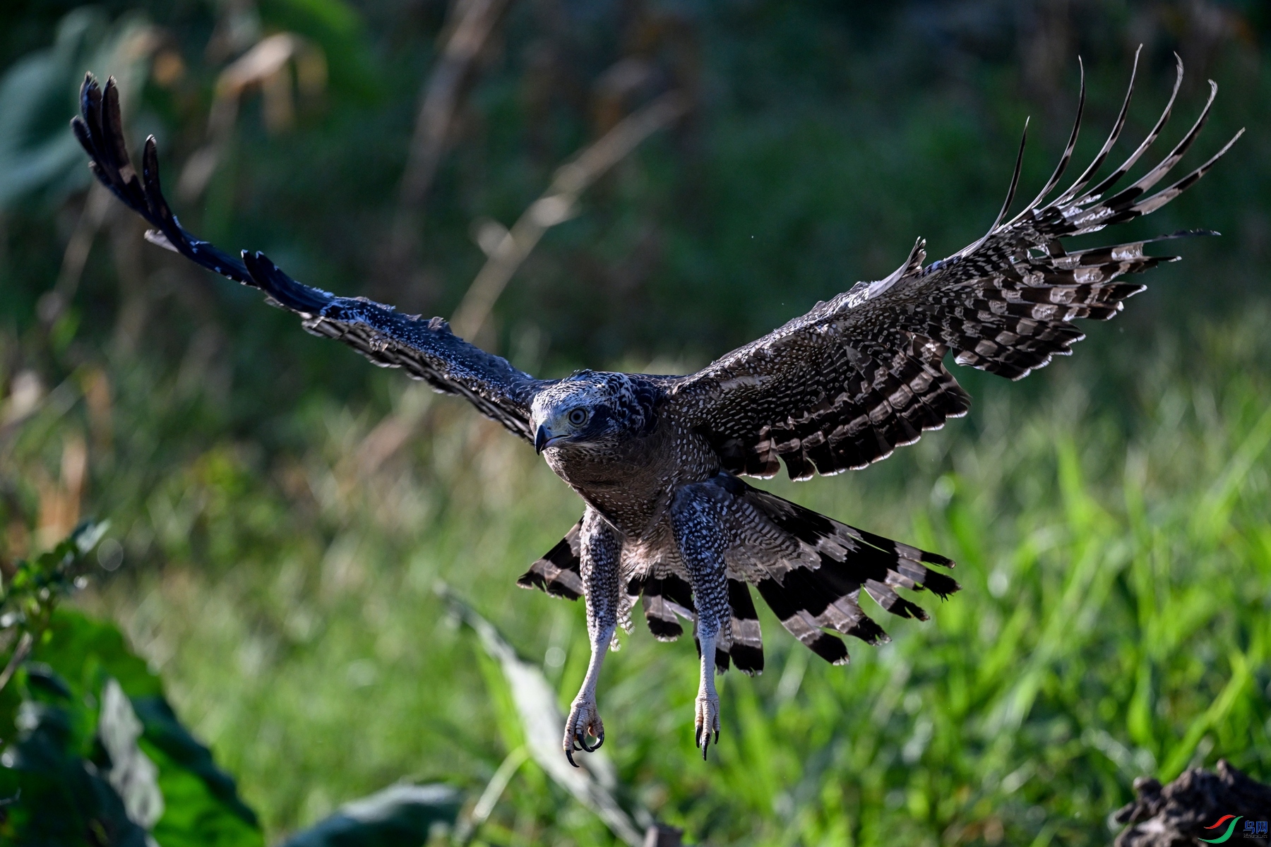 DSC_3273.JPG