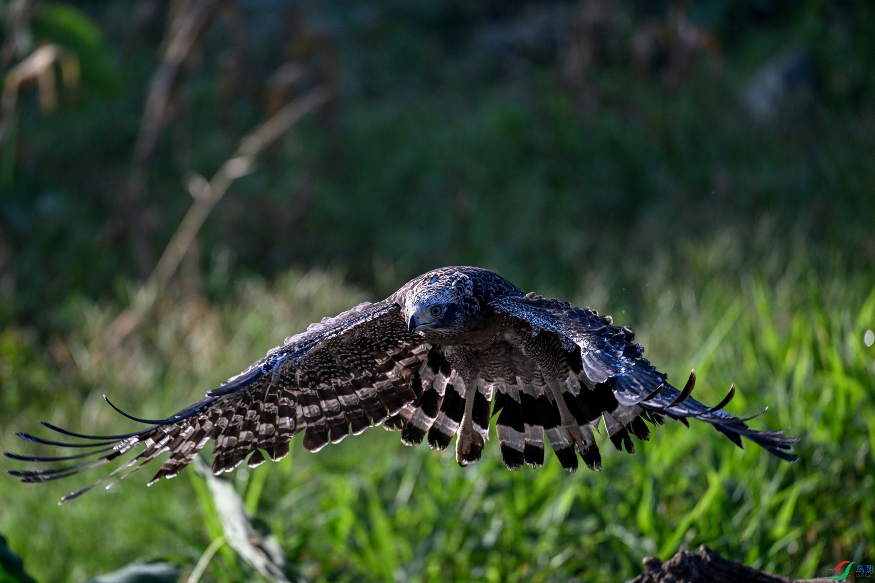 DSC_3269.JPG