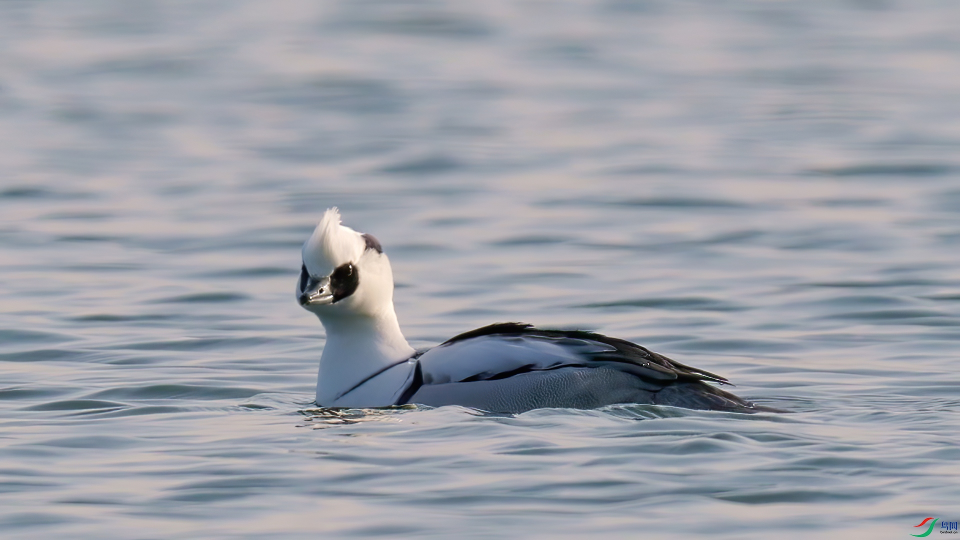 ��֡ 2025-01-08 162745_1.1.jpg