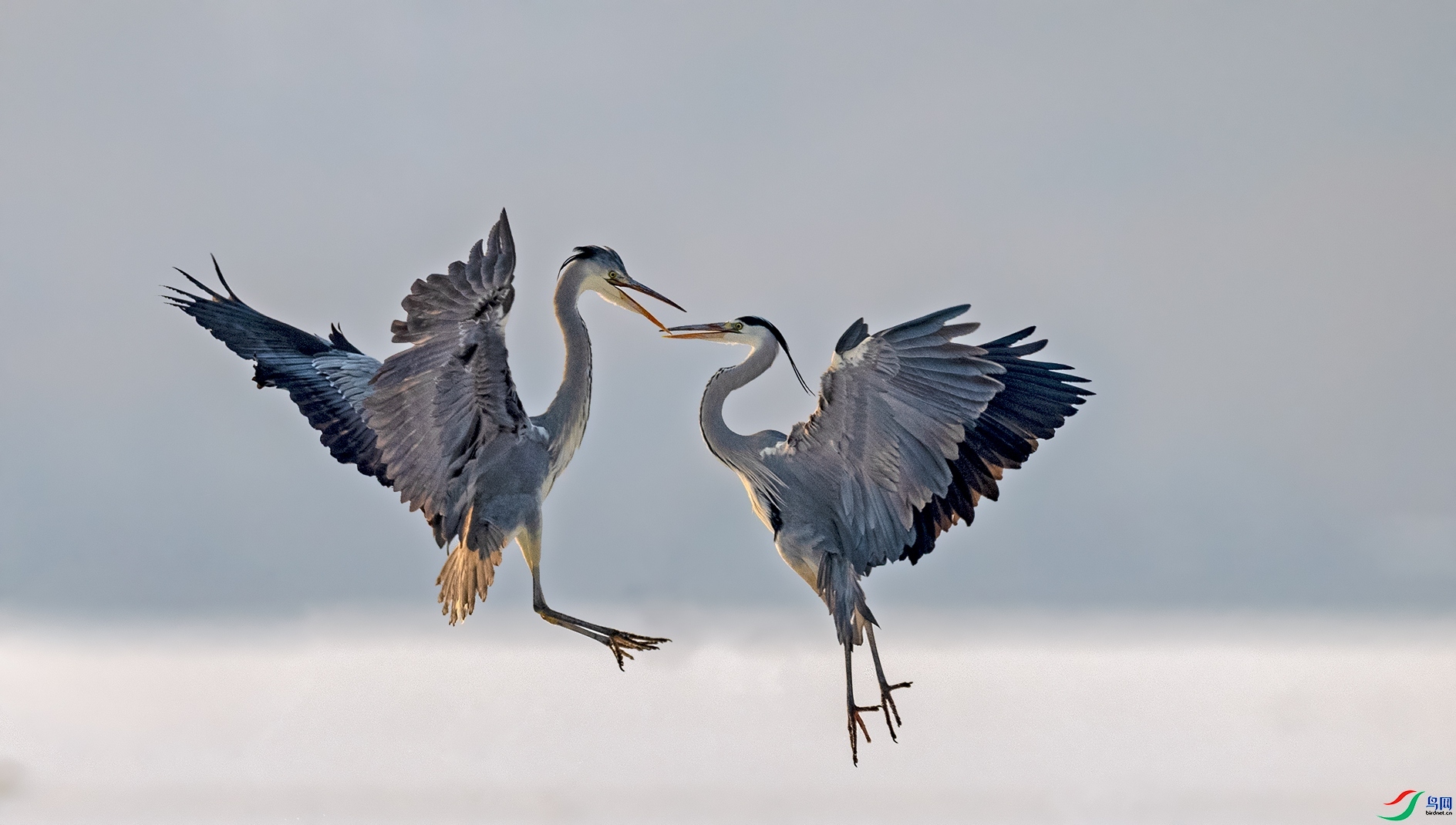 1.5���������ʦ��Ʒ   һ���ߵ� ��ף���ٻ����������.jpg