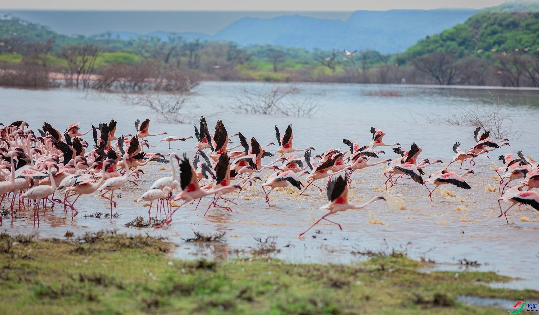 1.5����ͬ��yy��ʦ��Ʒ   ������.��ĩ��� ��ף���ٻ��Ա������.jpg