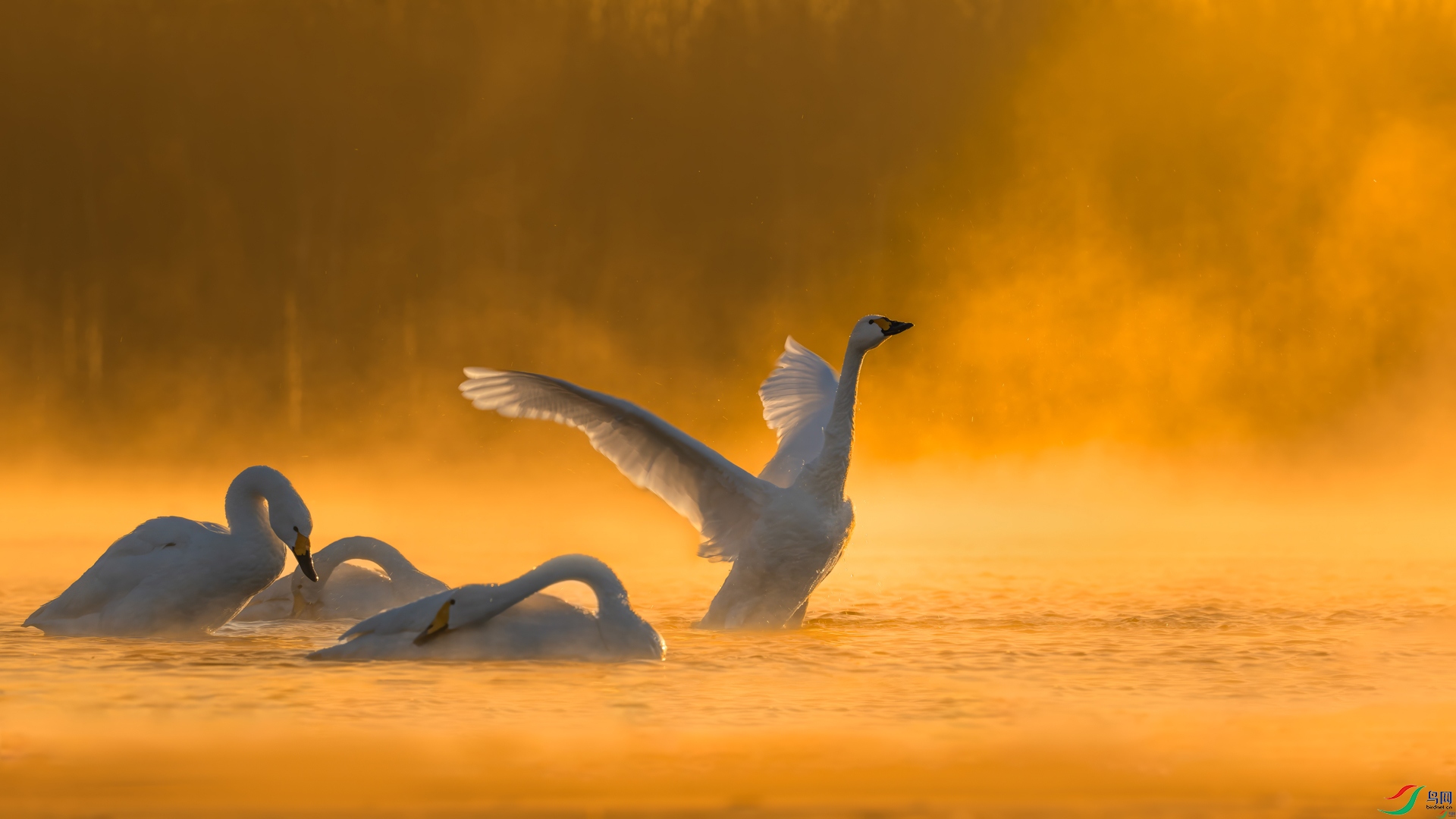 1.6����������ʦ��Ʒ  �������� ��ף���ٻ����������1.jpg