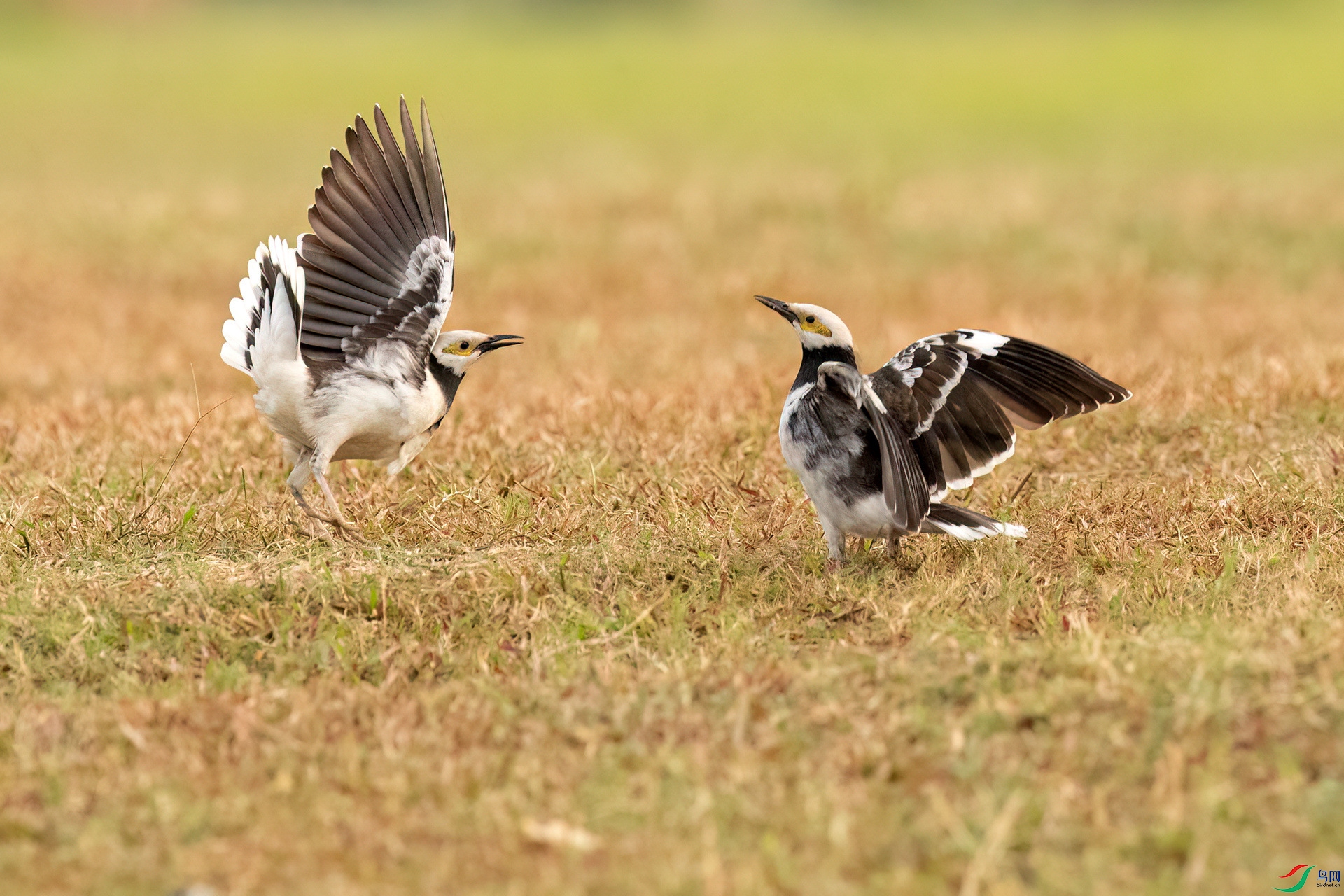 B86I3211 _����.jpg