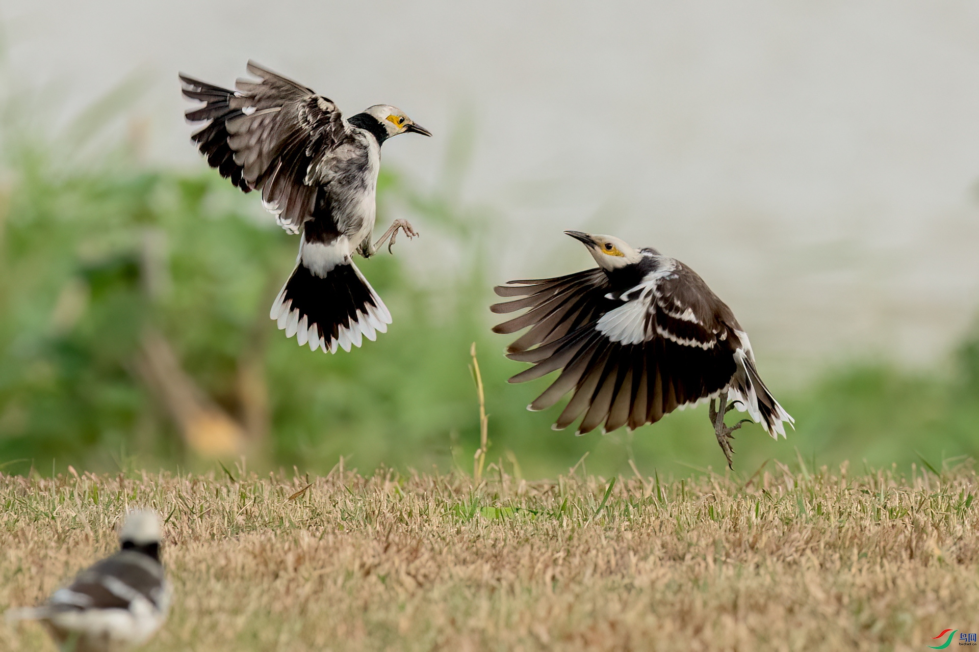 B86I3921 _����.jpg