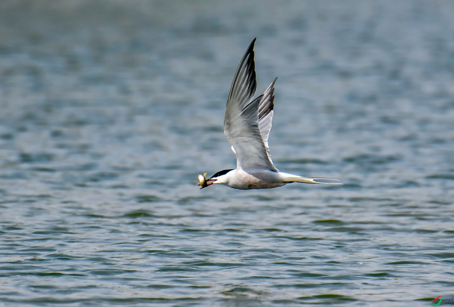 ���ض���