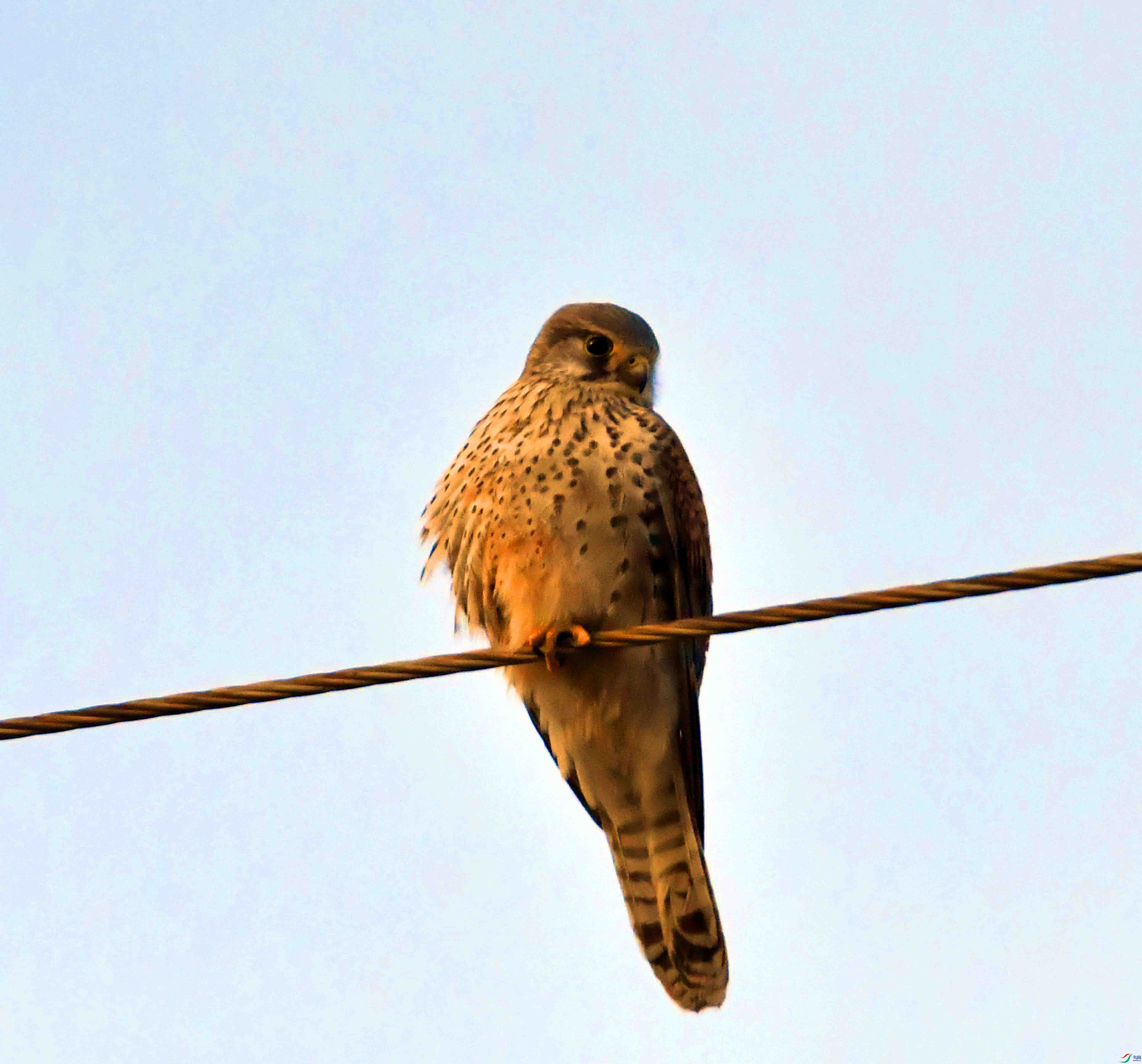 DSC_4522.JPG
