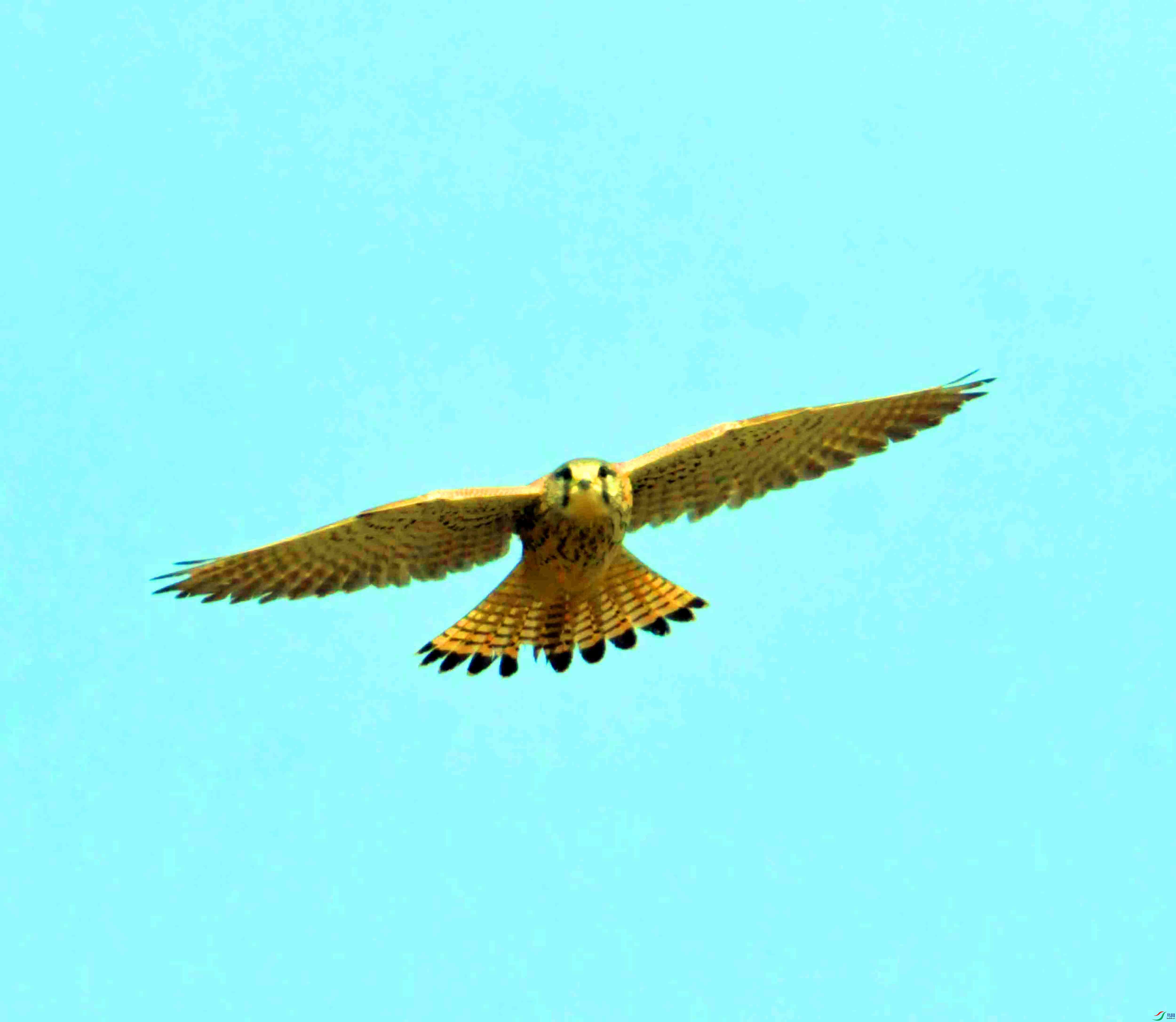 DSC_8099.JPG