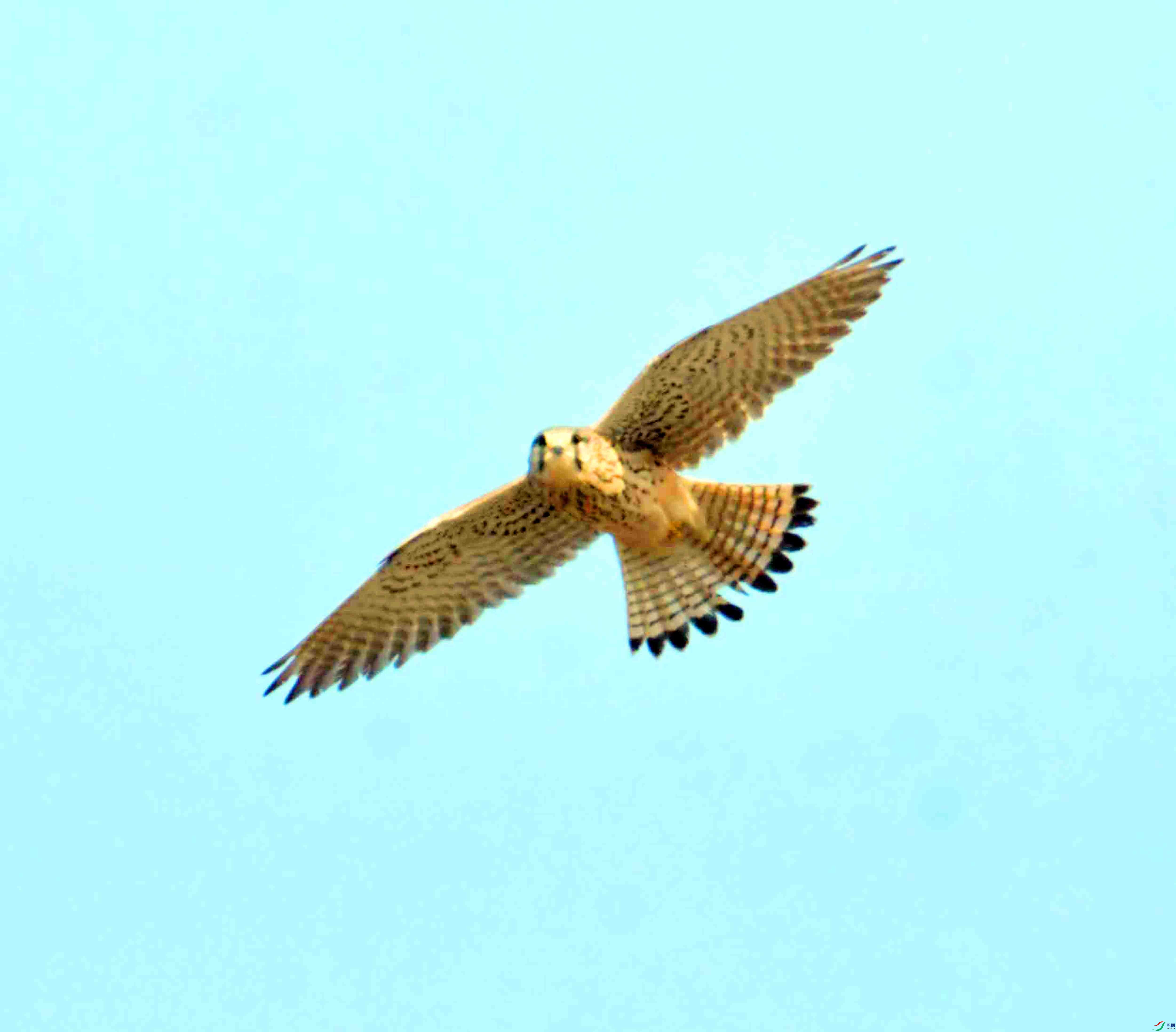 DSC_8101.JPG