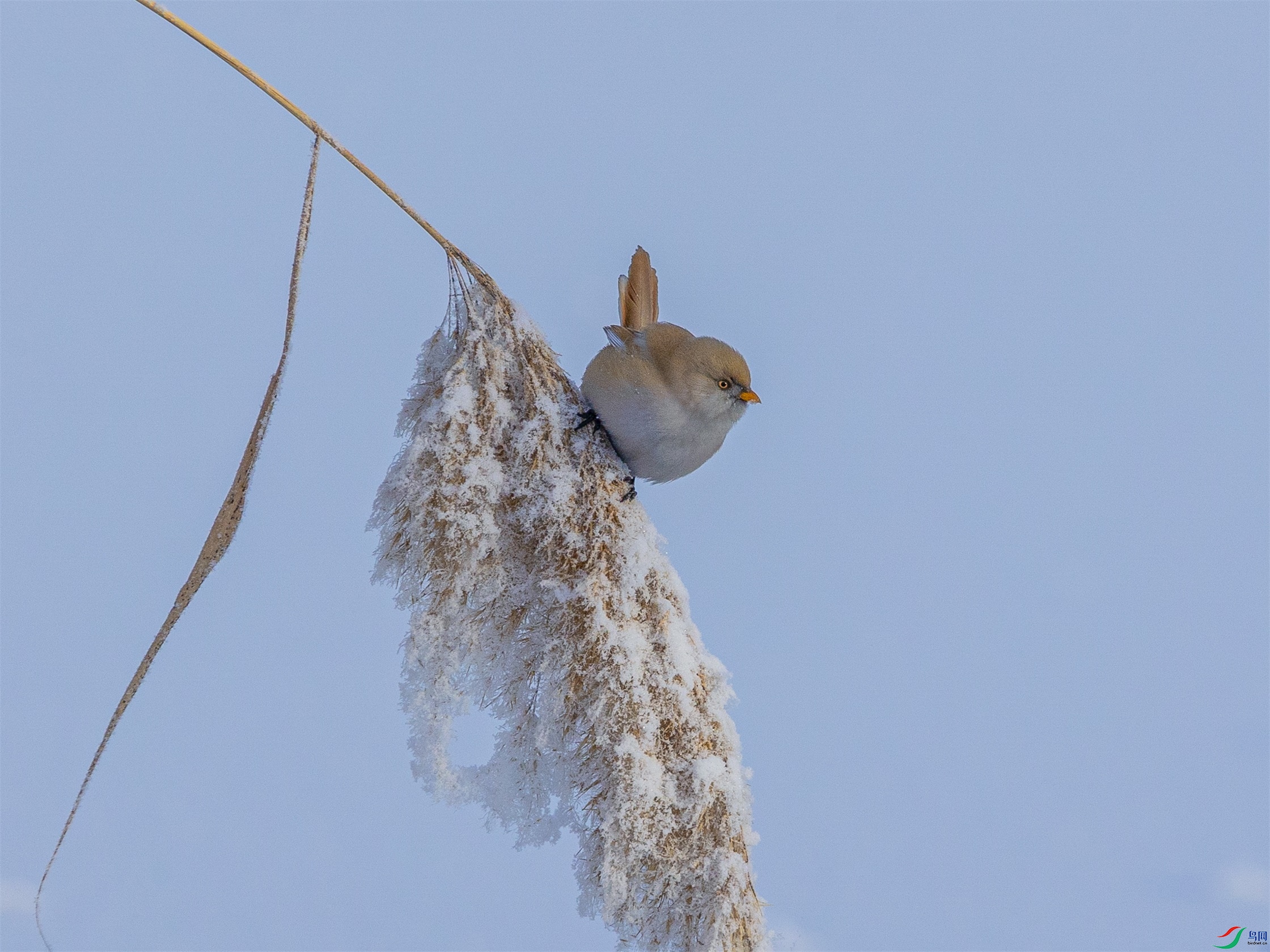 1K3A6228 ����1.jpg