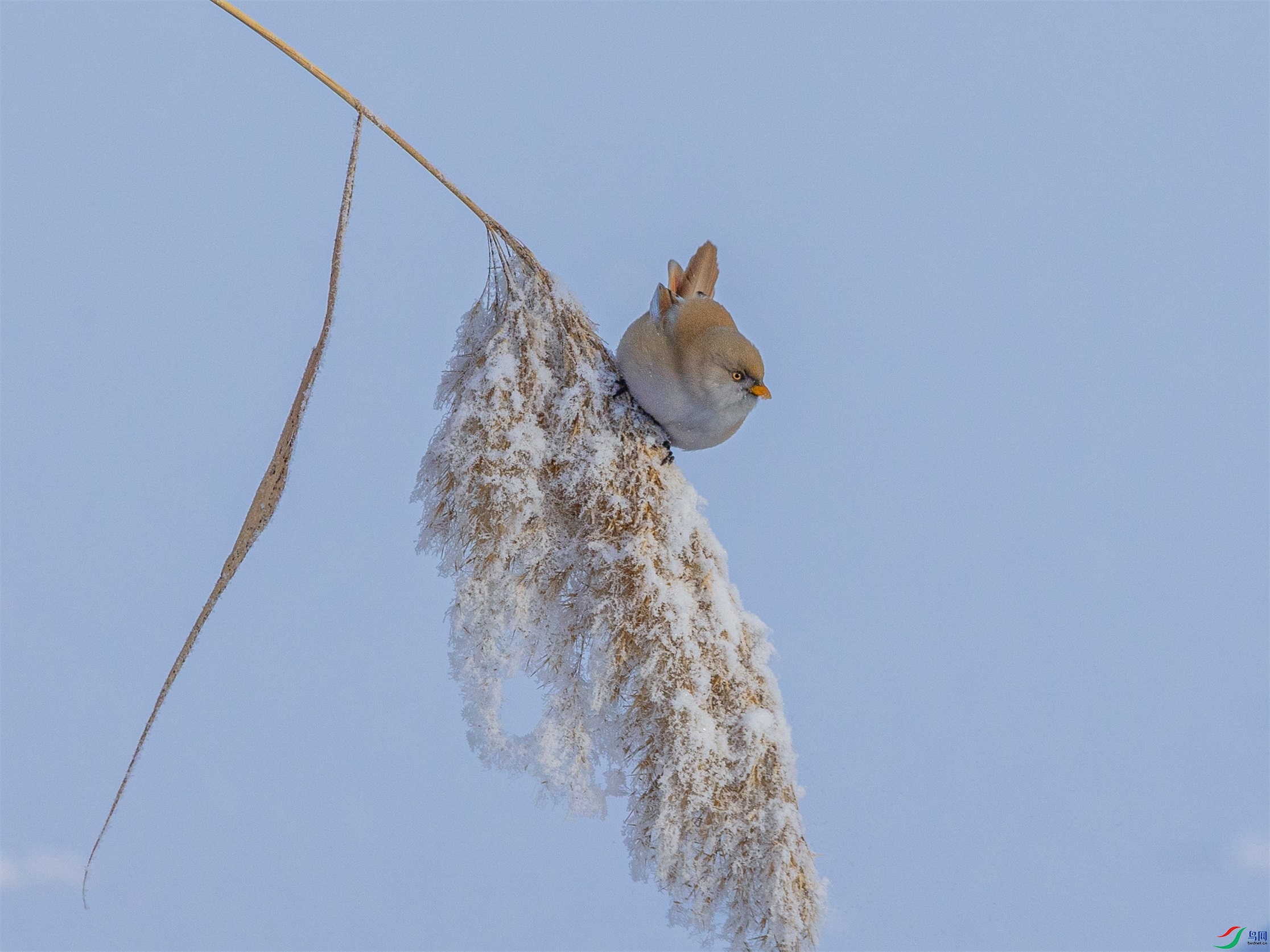 1K3A6225 ����1.jpg