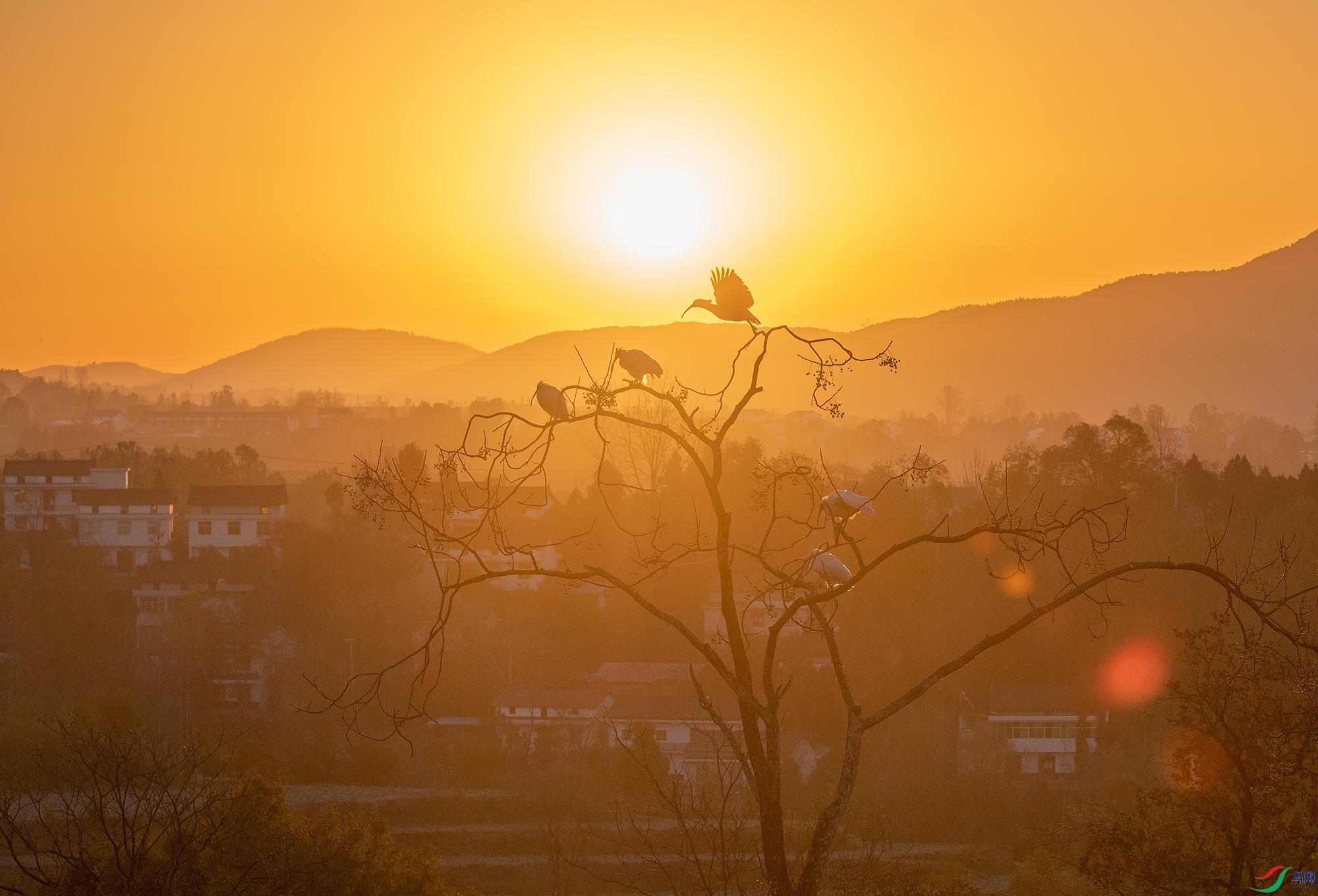 ���������q