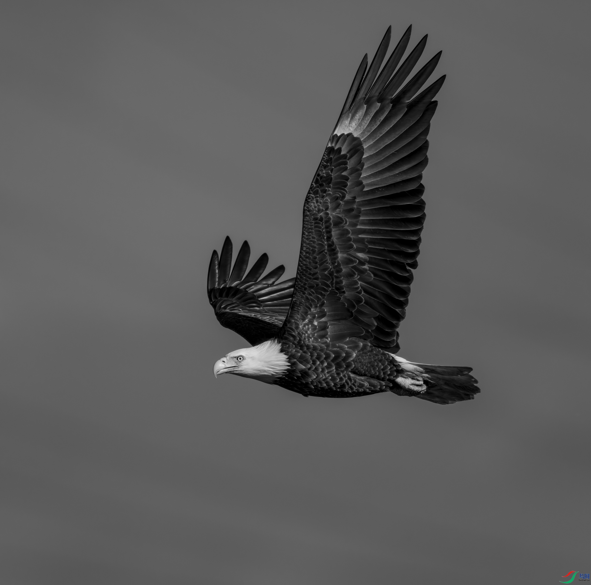 498A3410-����ǿ-����.jpg