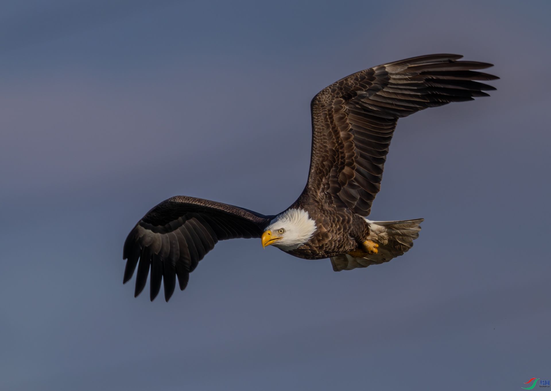 498A3377-����ǿ-����.jpg
