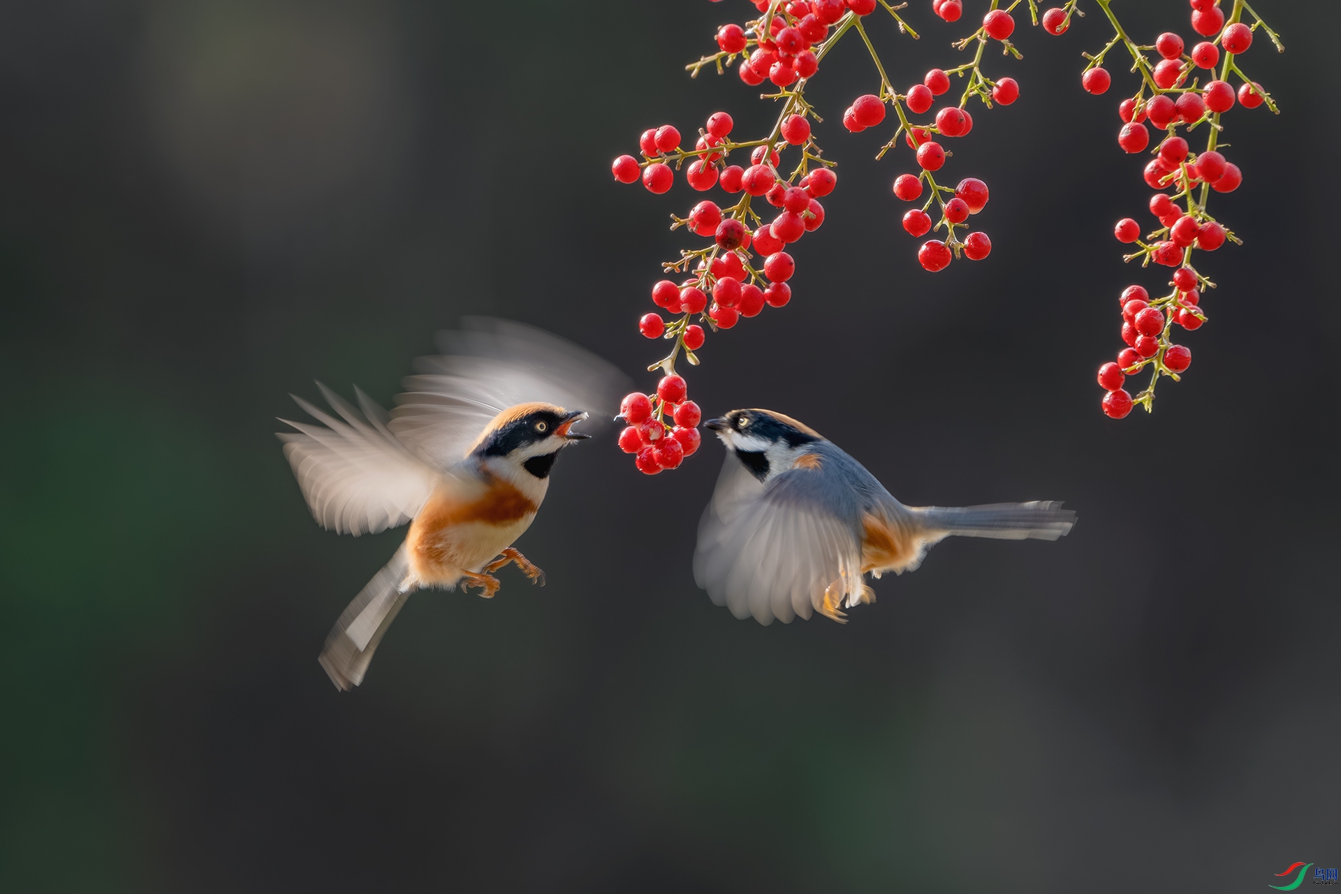 _DSC6099-����ǿ-NR ����С.jpg