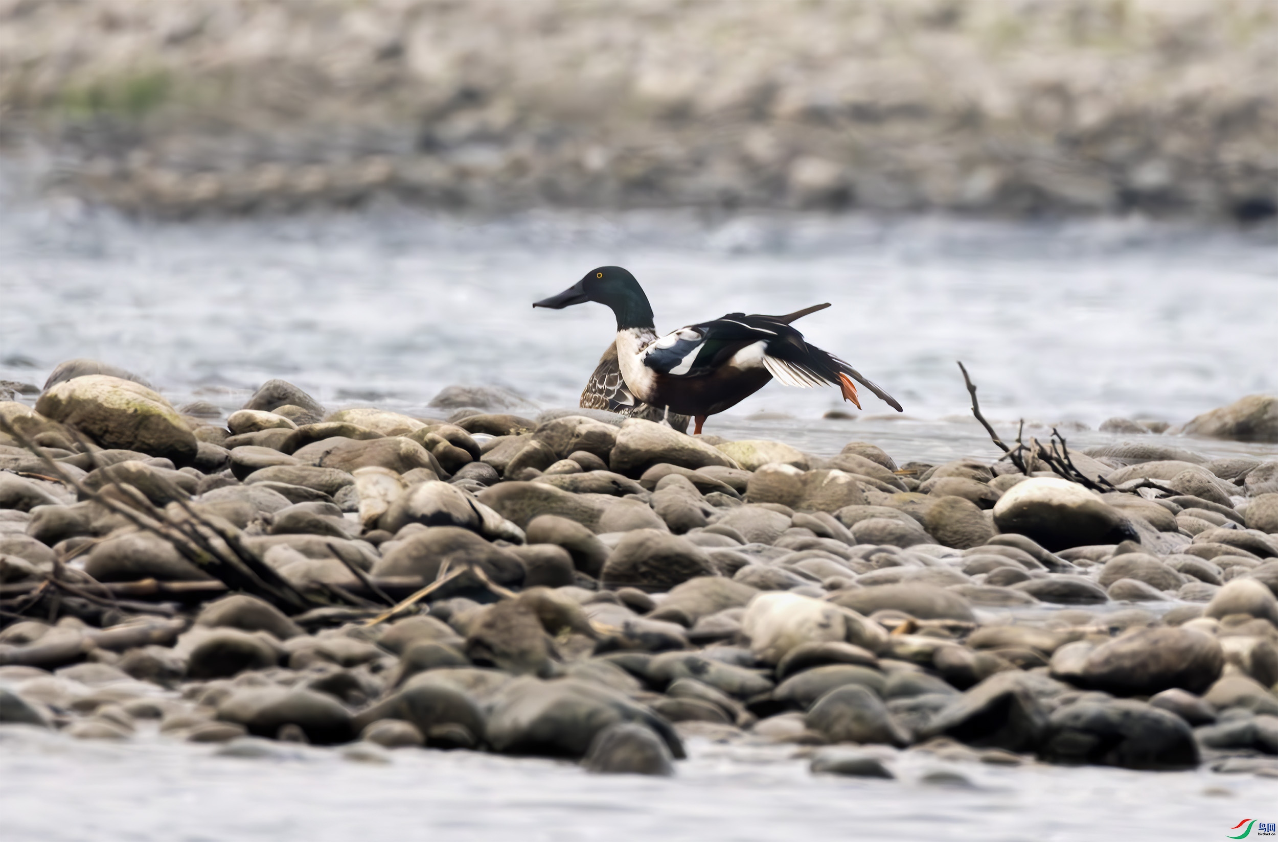 2I1A0747-����ǿ-NR ����.jpg