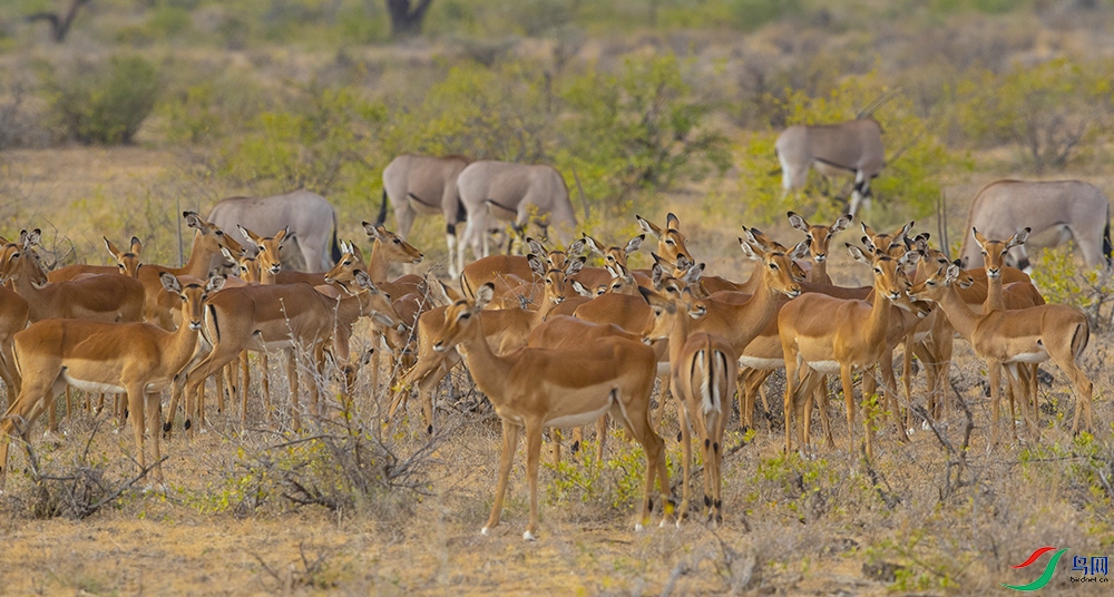 ���� (9).jpg