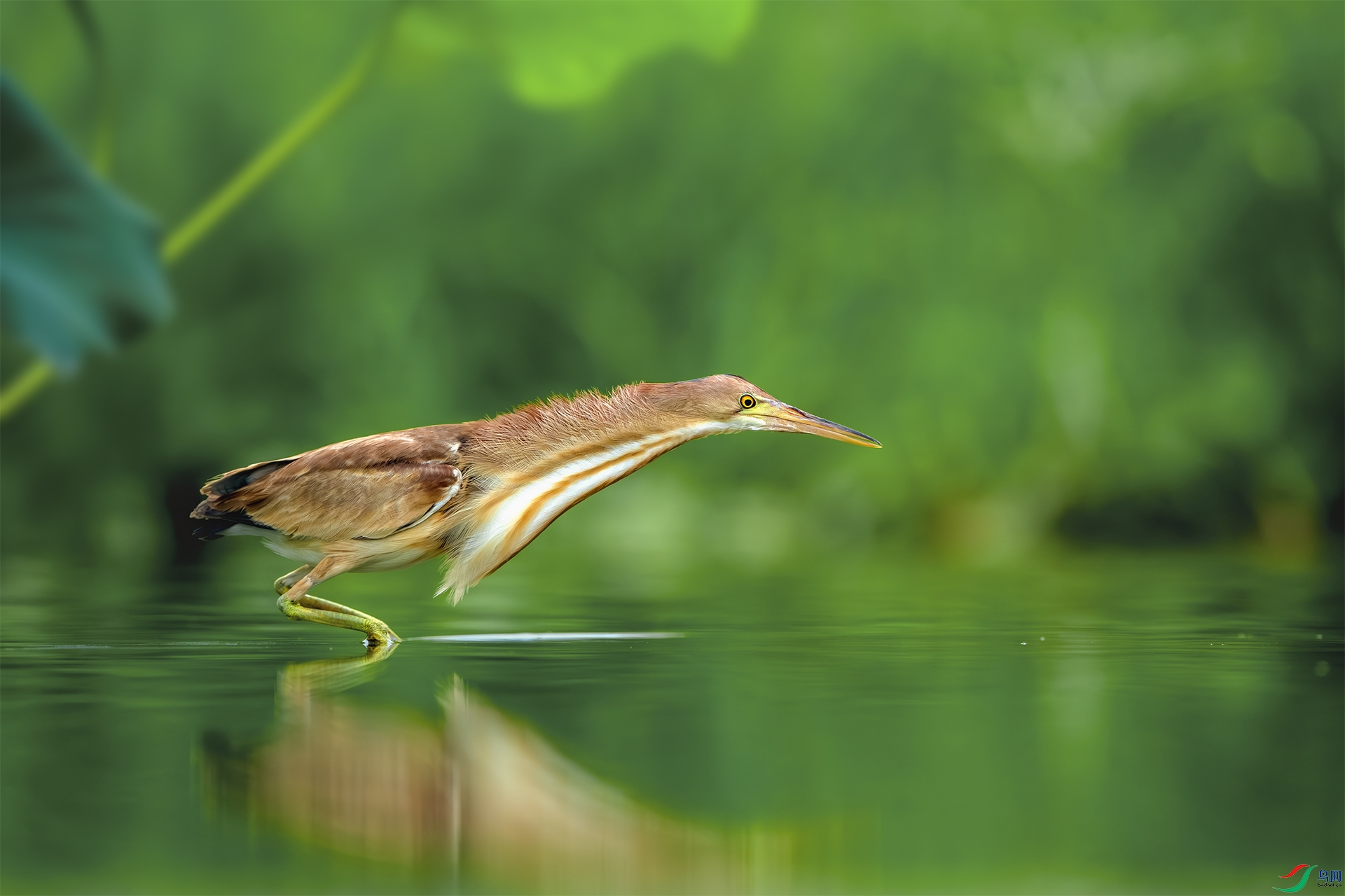 _DSC0201-����ǿ-NR ����С.jpg