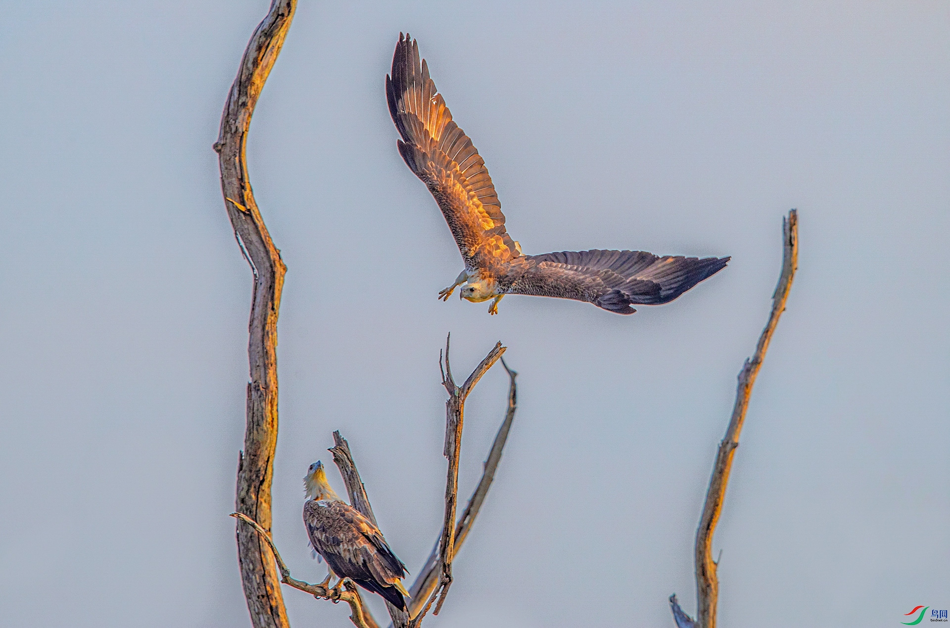 AK8I6580���� 03.jpg